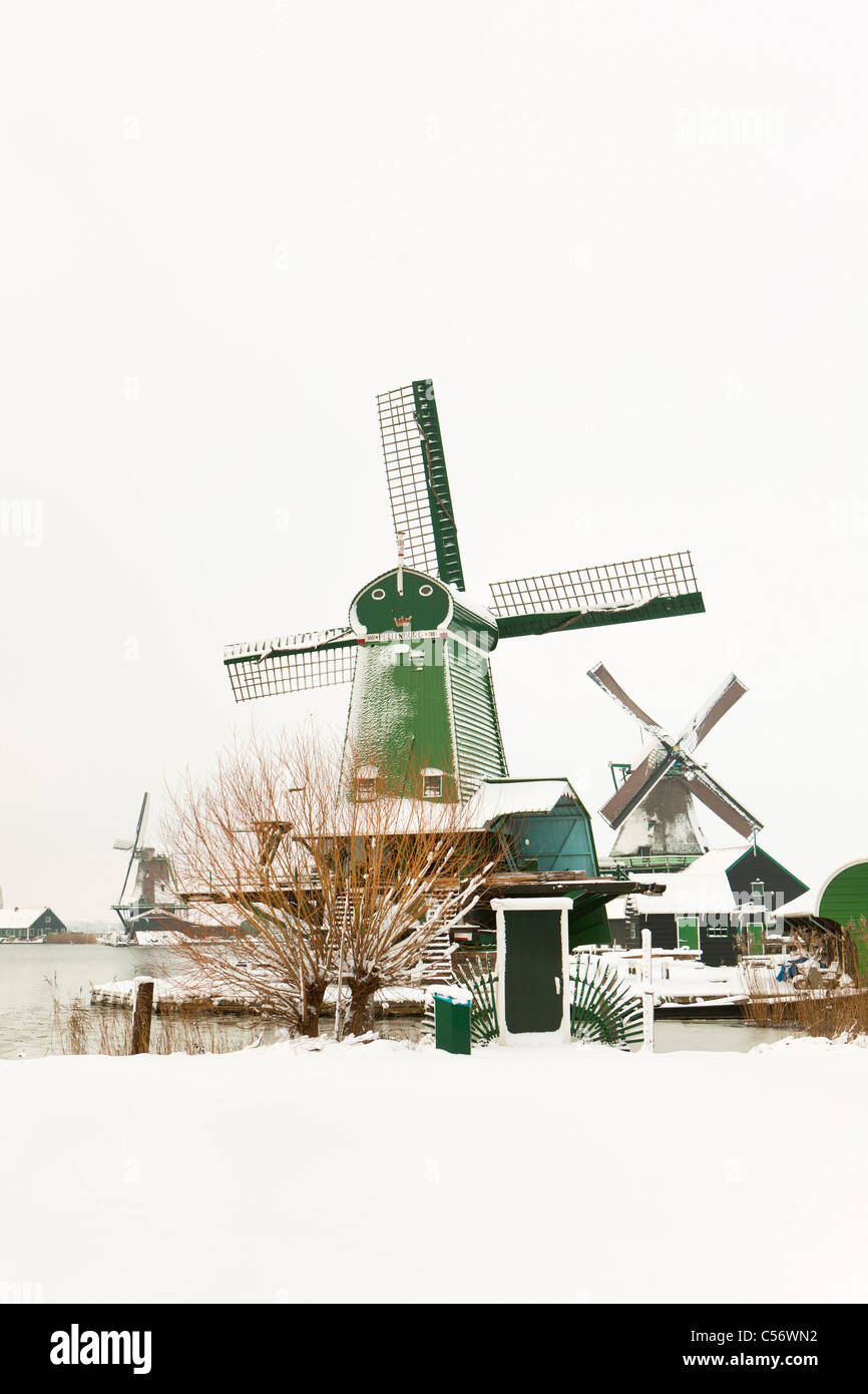 Zaanse Schans, Dorf an den Ufern des Flusses Zaan mit charakteristischen grünen hölzernen Häuser, historische Windmühlen. Winter, Schnee. Stockfoto
