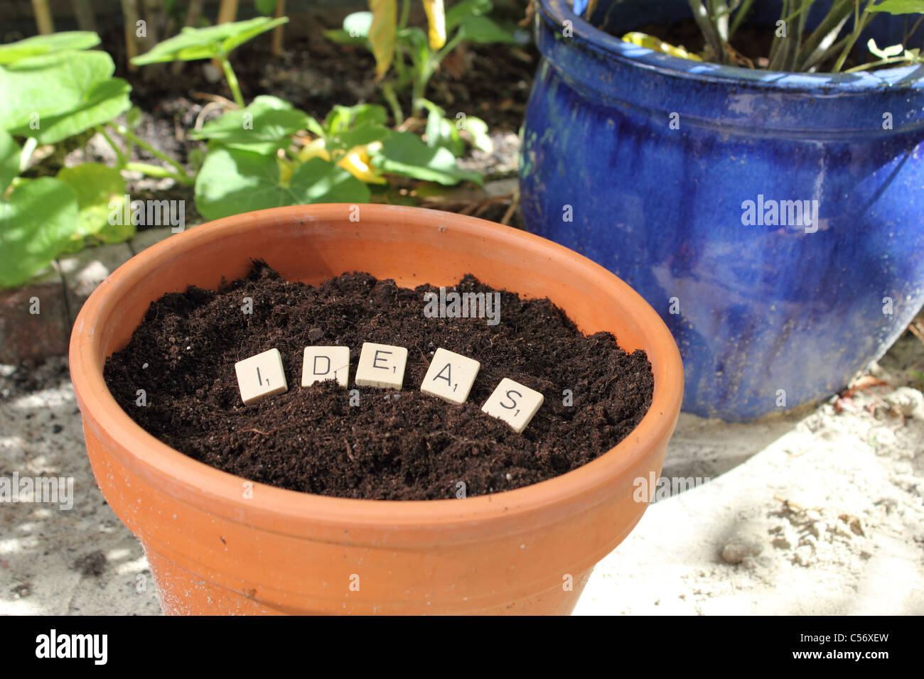 Anpflanzung von Ideen Stockfoto