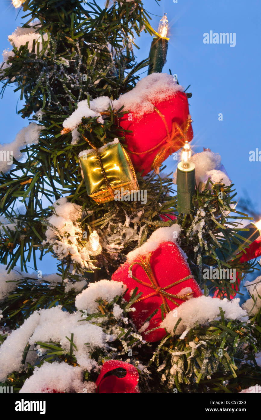 Beleuchtete weihnachtsbäume im freien -Fotos und -Bildmaterial in hoher 