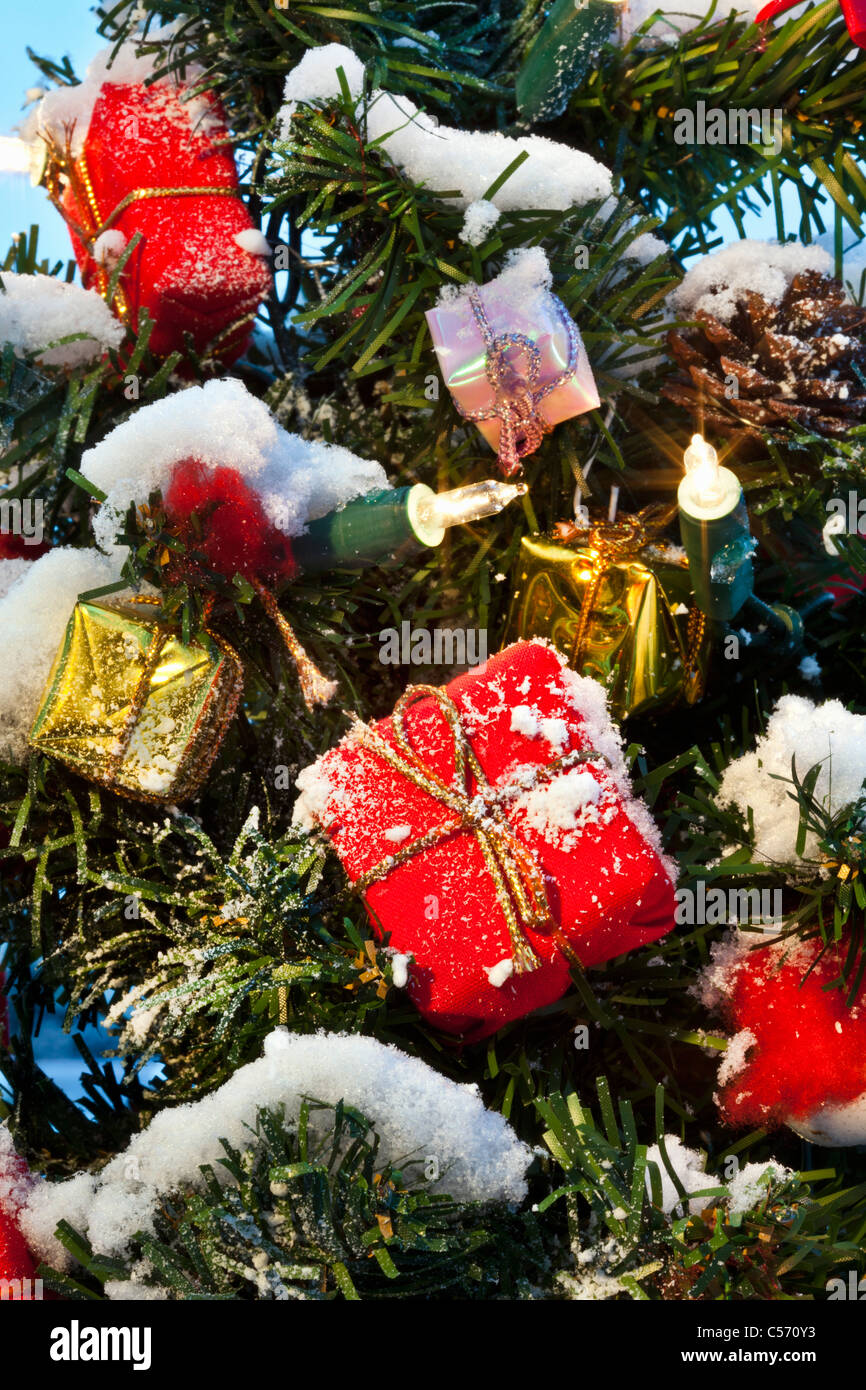 Beleuchtete weihnachtsbäume im freien -Fotos und -Bildmaterial in hoher 