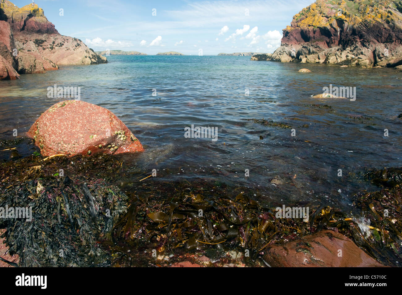 Klare blaue ruhige See und Felsküste bei North Haven Skokholm Insel Pembrokeshire South Wales UK Stockfoto