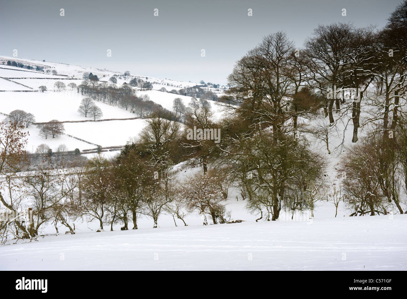 Walisische Grenzland verschneite Winterlandschaft, Powys, Wales Stockfoto