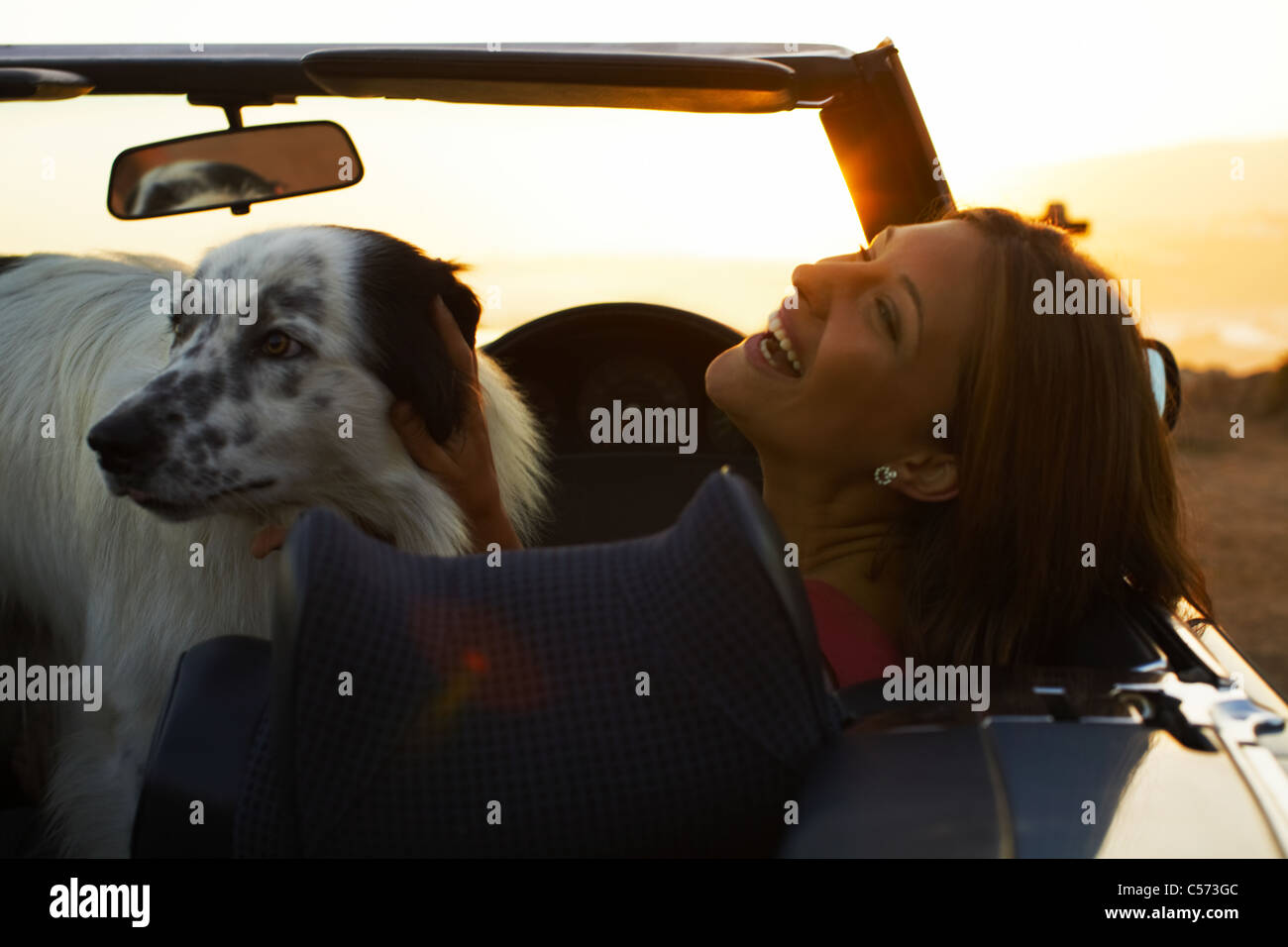 Frau mit Hund im Cabrio zum Lachen Stockfoto