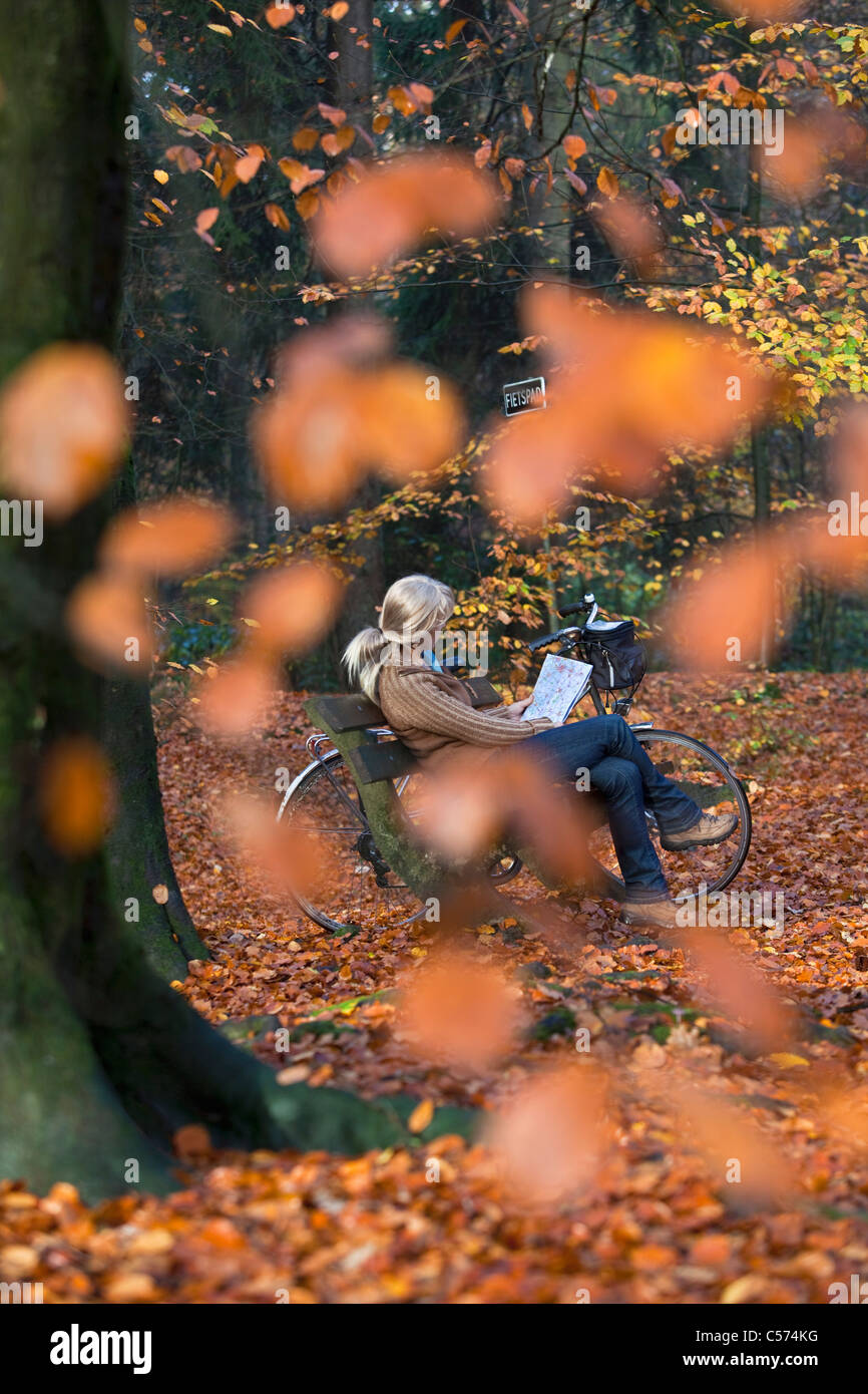 Die Niederlande, Denekamp, Landgut Singraven. Herbstfärbung. Frau, Radfahrer-Karte im Wald, entspannen Sie sich auf die Bank zu betrachten. Stockfoto