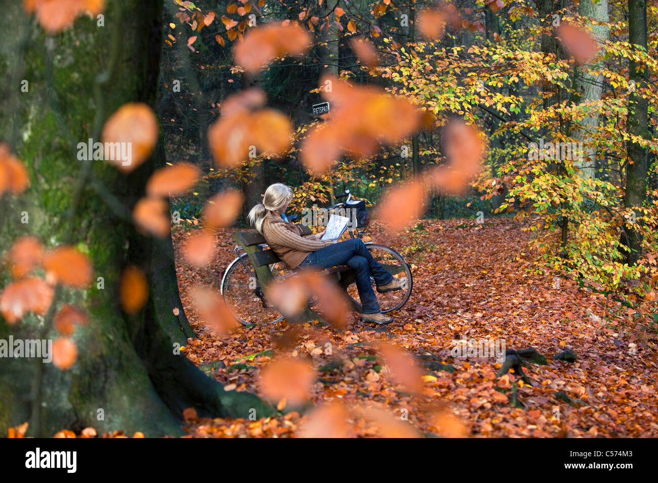 Die Niederlande, Denekamp, Landgut Singraven. Herbstfärbung. Frau, Radfahrer-Karte im Wald, entspannen Sie sich auf die Bank zu betrachten. Stockfoto
