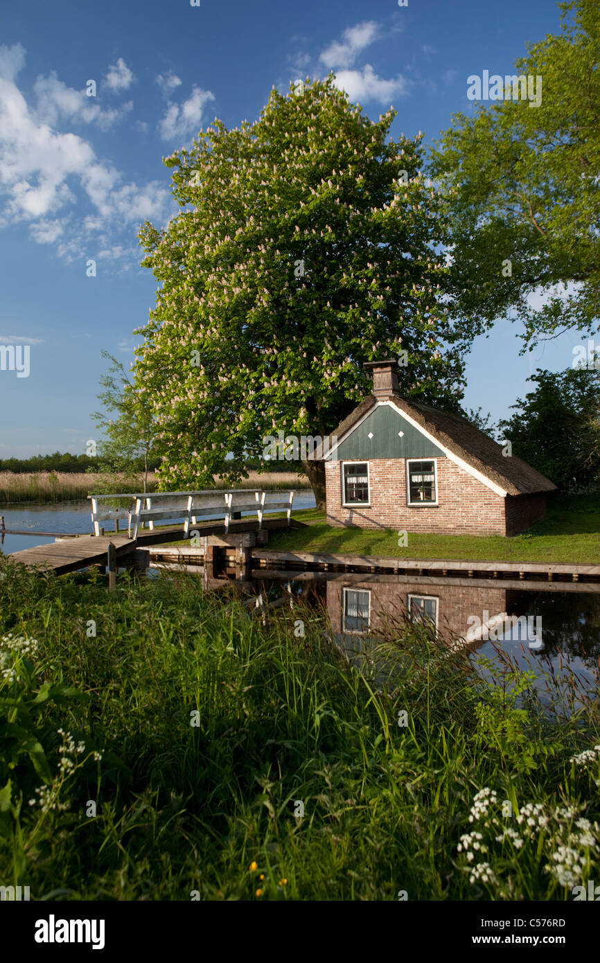 Niederlande, Kalenberg, ehemalige Torf Arbeiter Haus im Nationalpark De Weerribben-Wieden genannt. Stockfoto