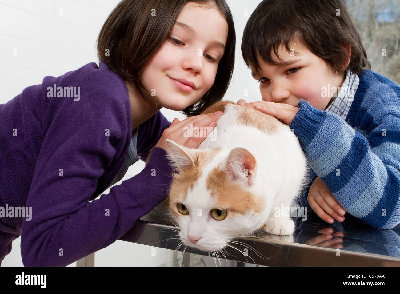 Kinder, die ihre Katze streicheln Stockfoto