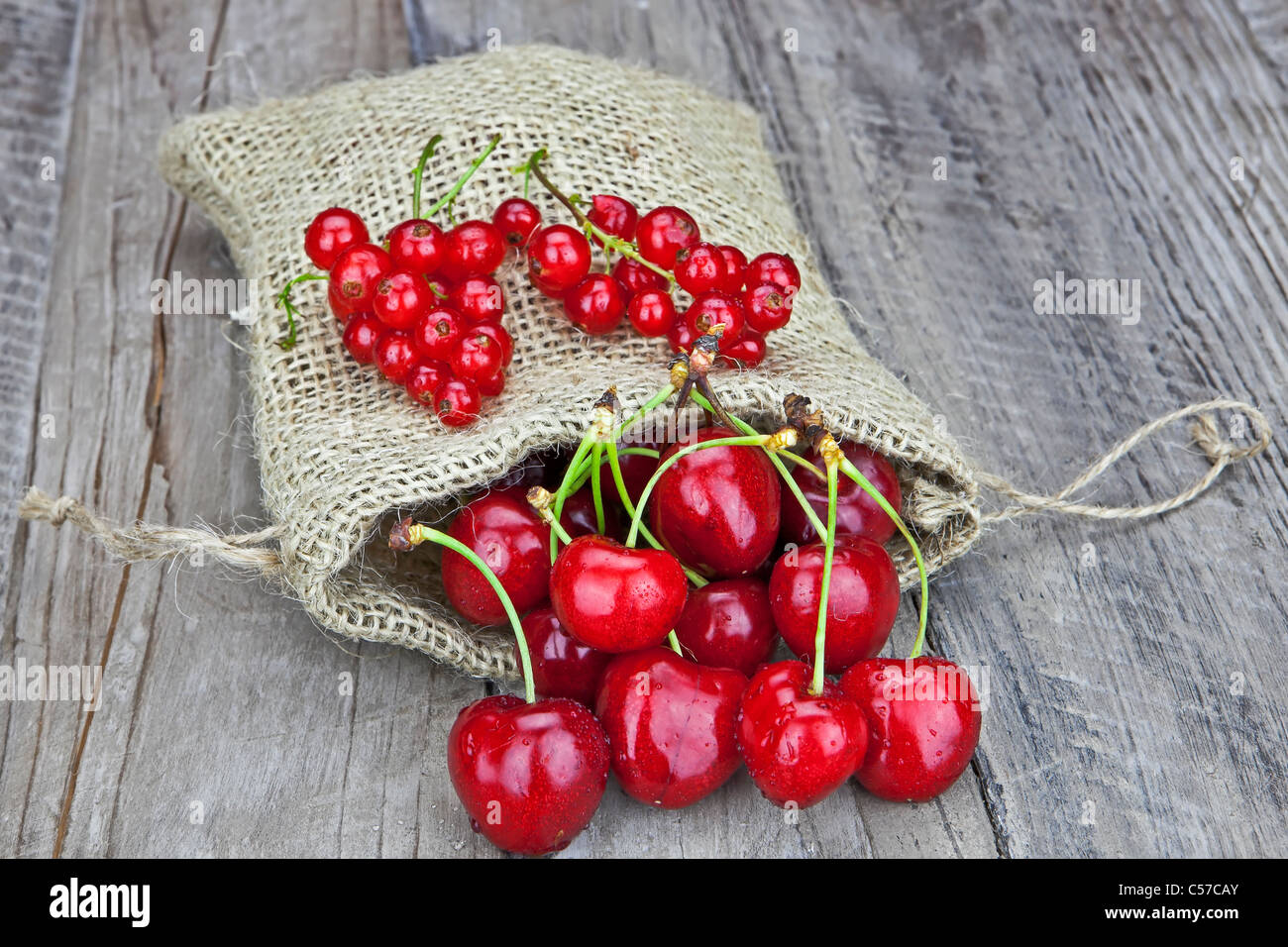 frische rote Johannisbeeren und Kirschen in eine Jute-Tasche Stockfoto