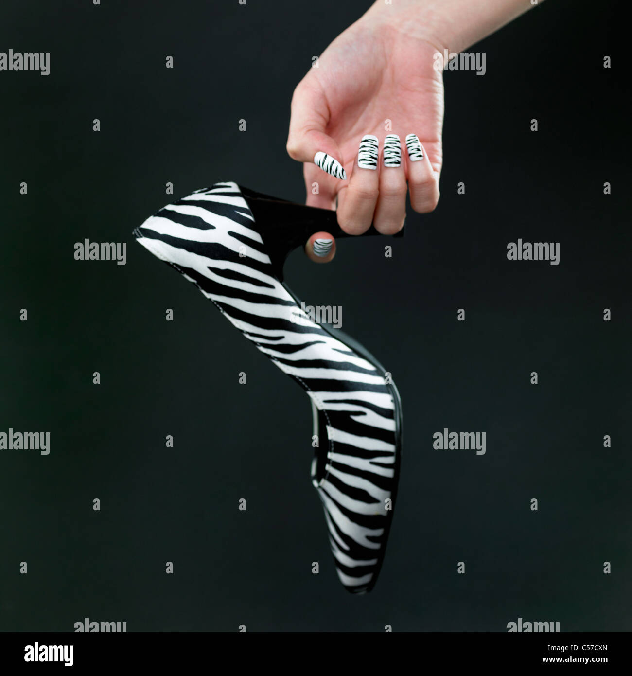 Zebra Muster Nagel Hand halten highheels Stockfoto