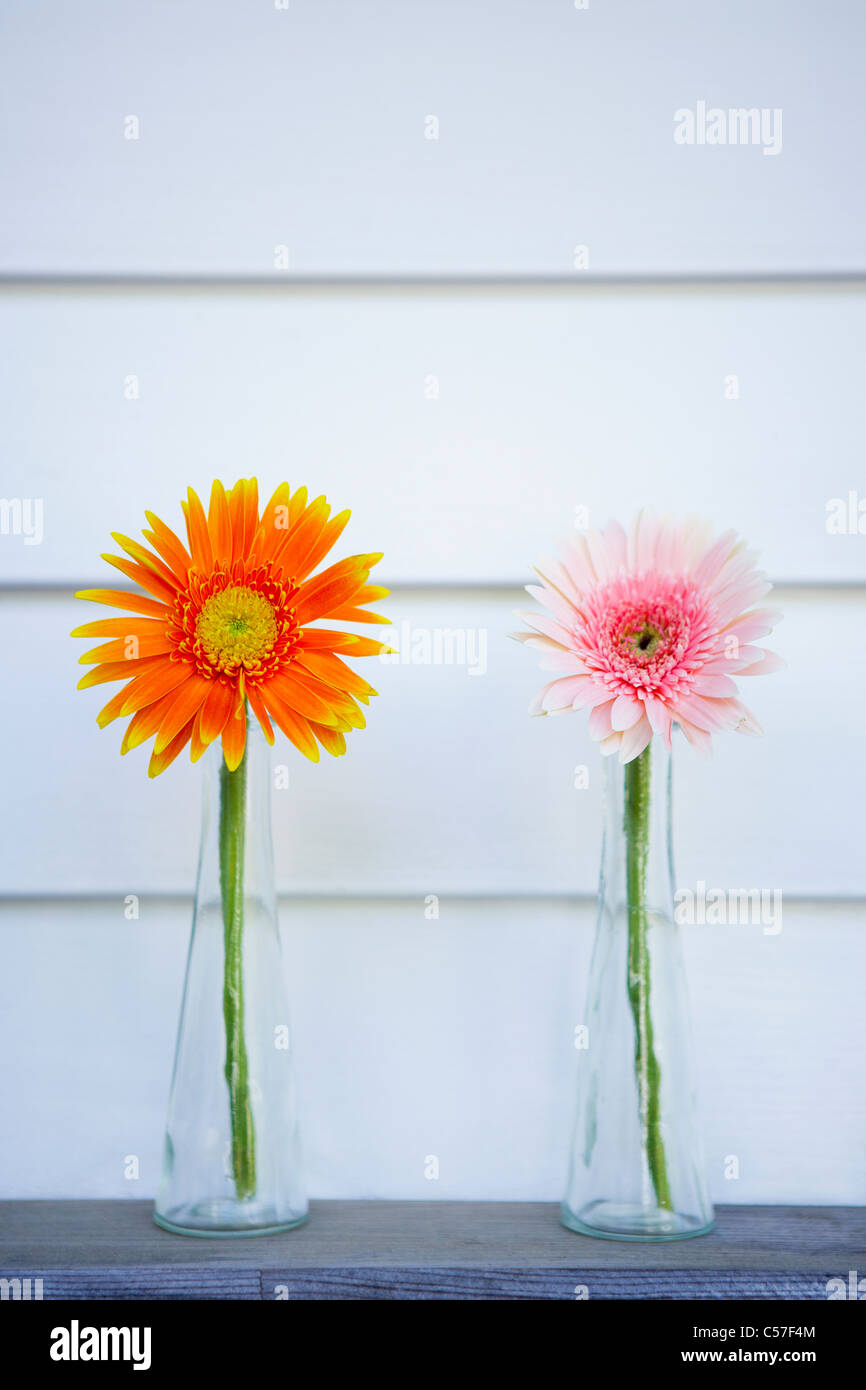 Blumen in der vase Stockfoto