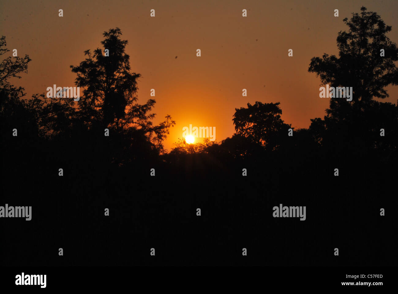 Sun Set Stockfoto