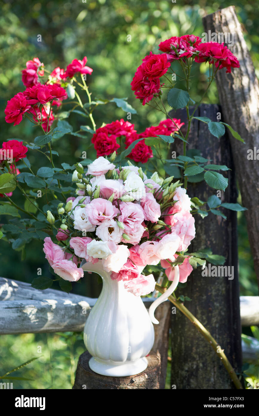 Rosen und Blumen Stockfoto