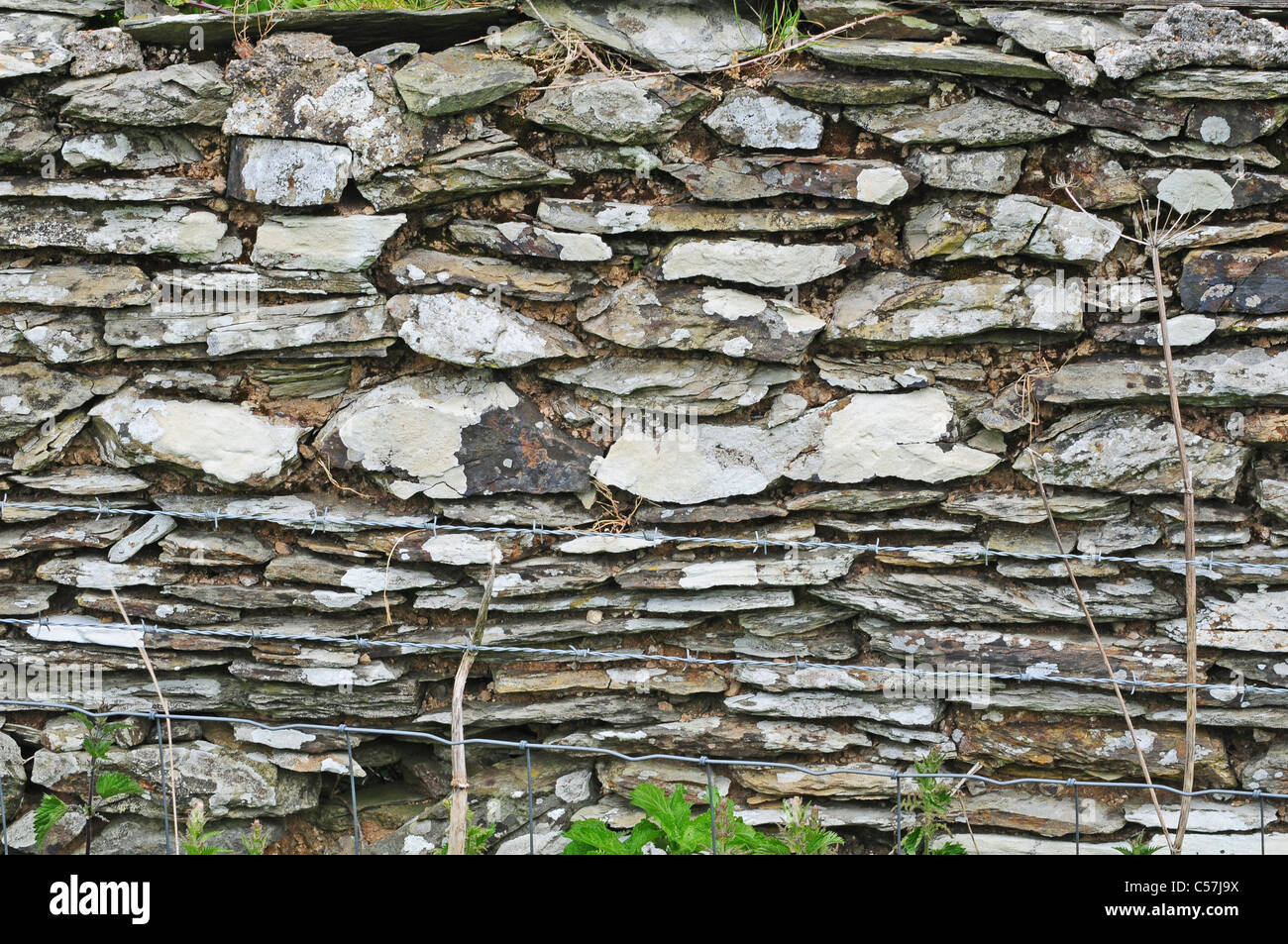 Steinmauer eines linhay, Norden, Devon Stockfoto