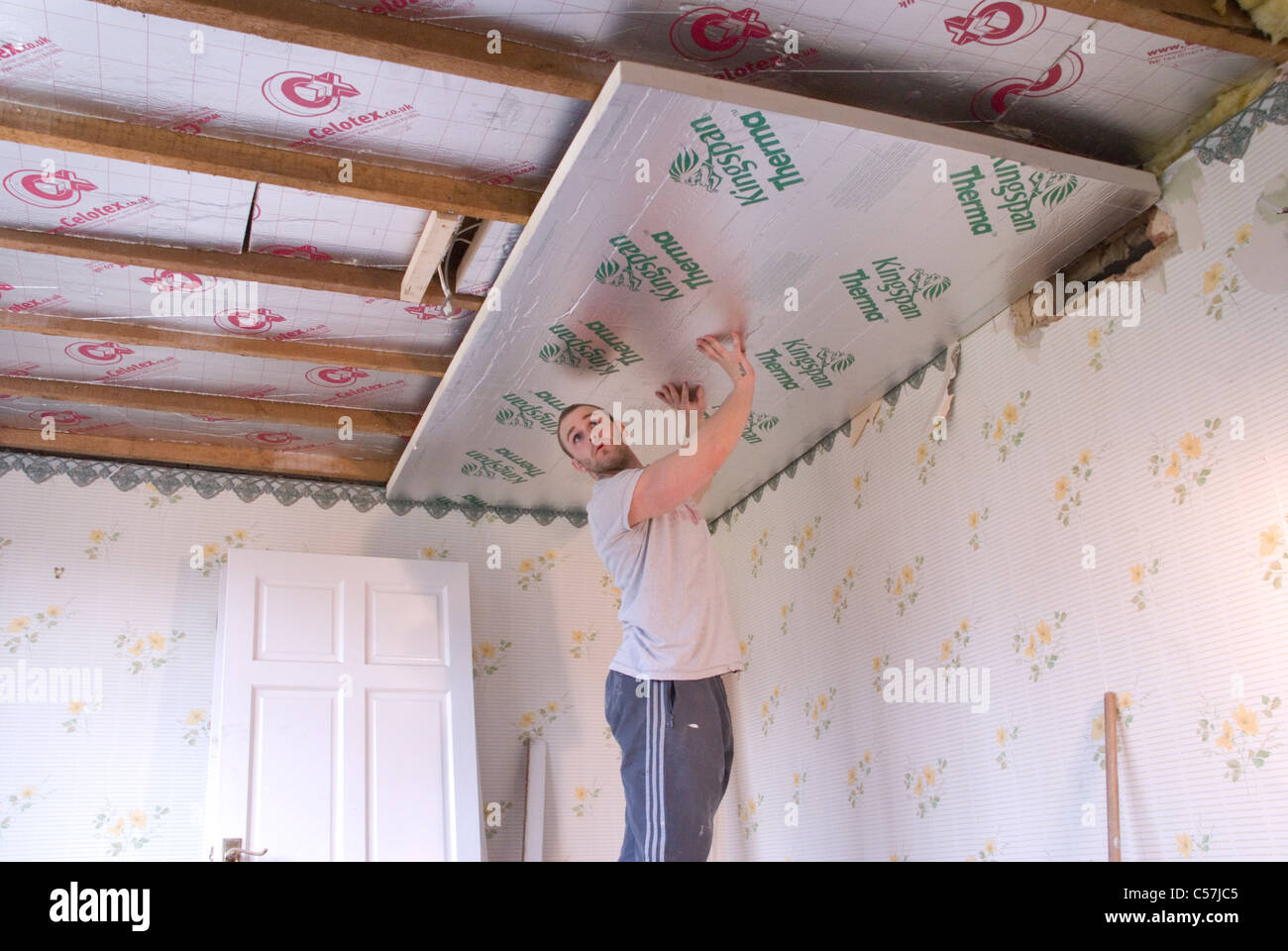 Bauherren, die hohe Leistung Kingspan Therma und Celotex--Dämmplatten an Wänden und Decke eines älteren Hauses installieren Stockfoto