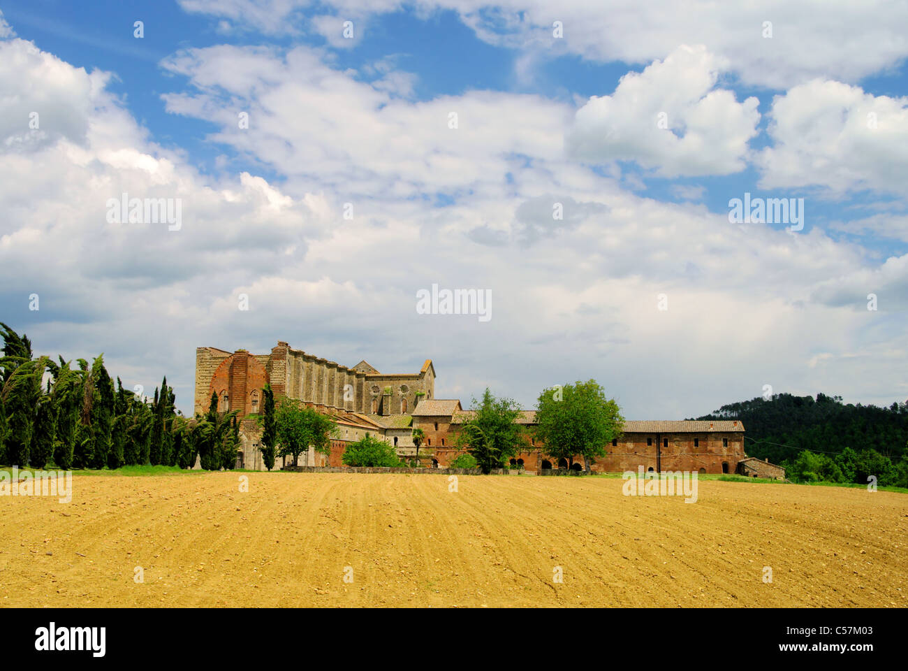 San Galgano 03 Stockfoto