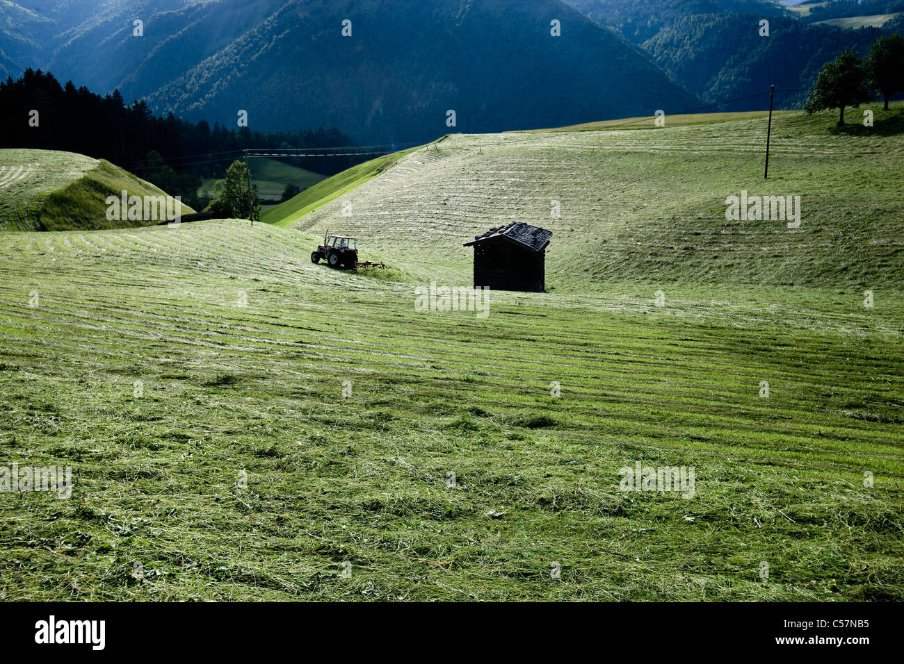 Hütte im ländlichen Getreidefelder Stockfoto