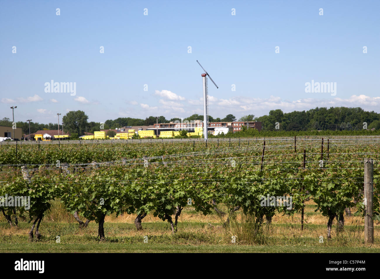 Pillitteri Estates Winery Niagara Wein Land Niagara-on-the-Lake Ontario Kanada mit Eiswein Produktion Windmühle Stockfoto