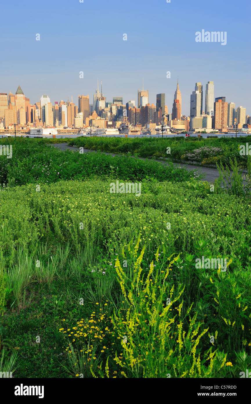 New York City Manhattan Midtown Skyline-Blick vom New Jersey Hudson River Waterfront Park mit grünen Rasen bei Sonnenuntergang. Stockfoto