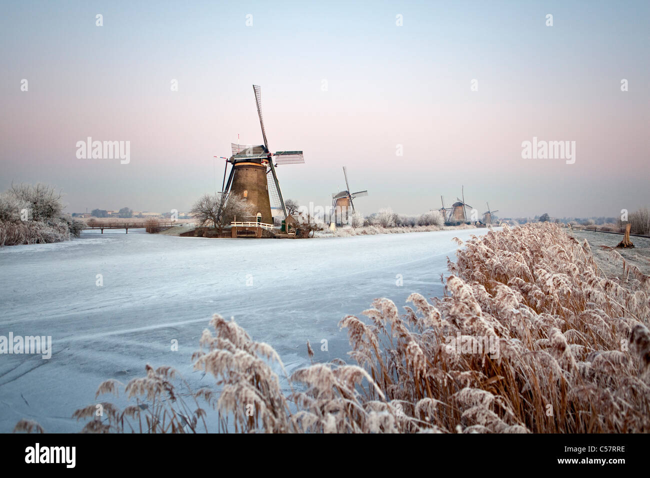 Die Niederlande, Kinderdijk, Windmühlen im Schnee, UNESCO-Weltkulturerbe. Sunrise. Stockfoto