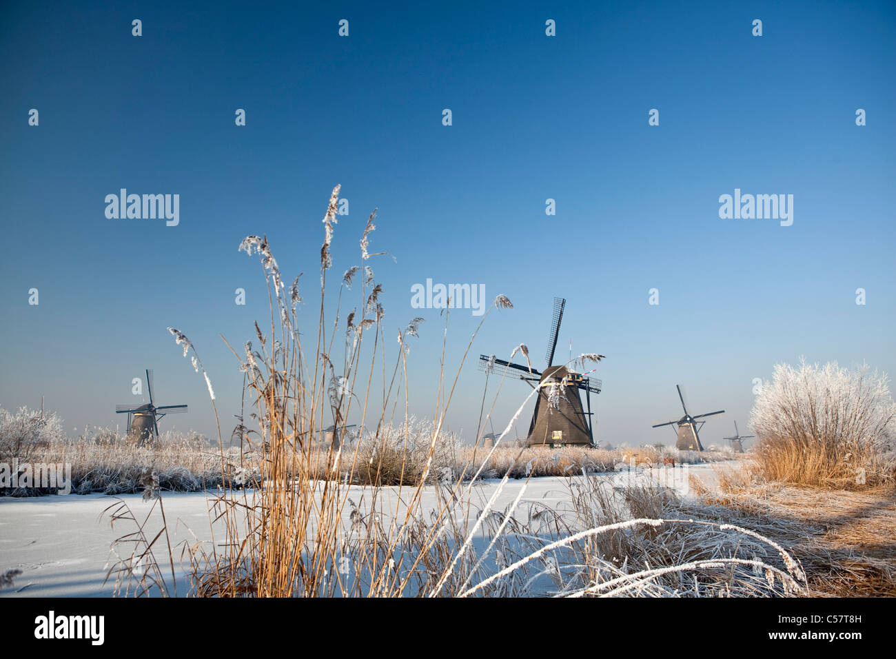 Die Niederlande, Kinderdijk, Windmühlen im Schnee, UNESCO-Weltkulturerbe. Stockfoto