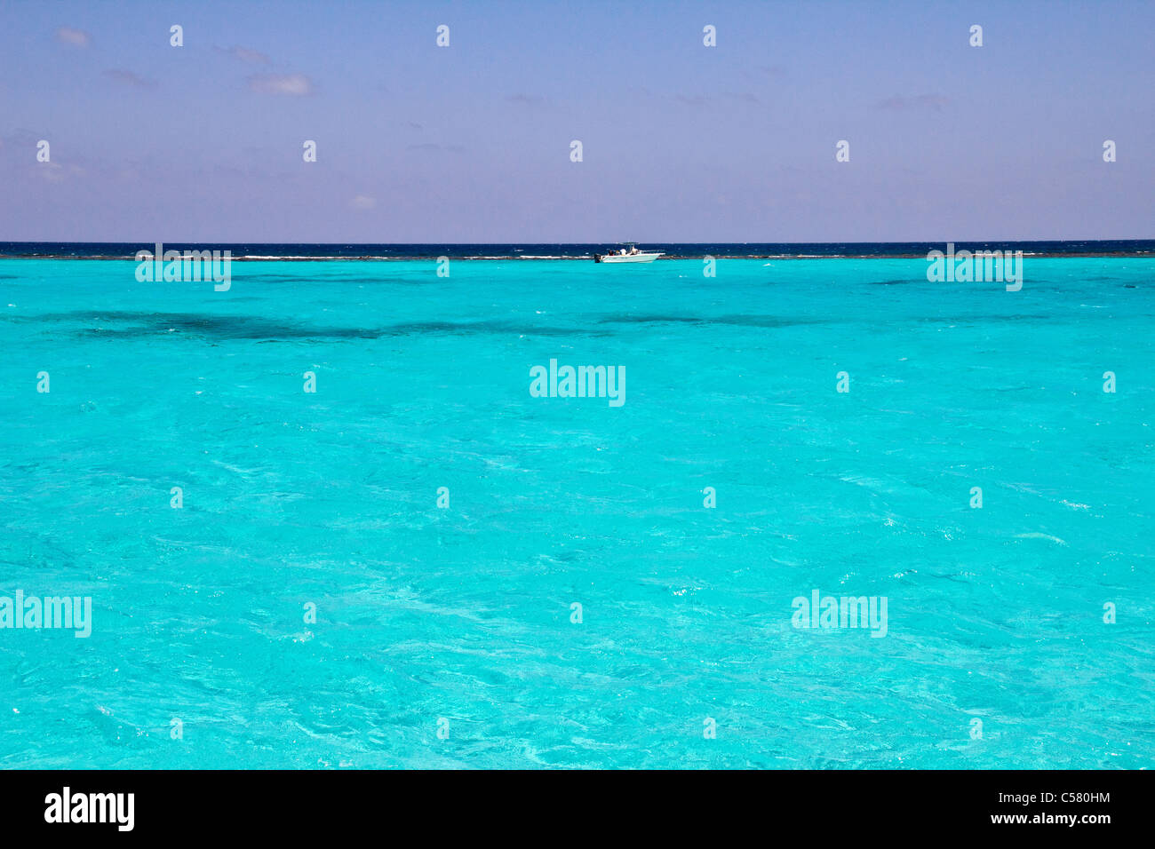 Stingray City, Cayman-Inseln Stockfoto