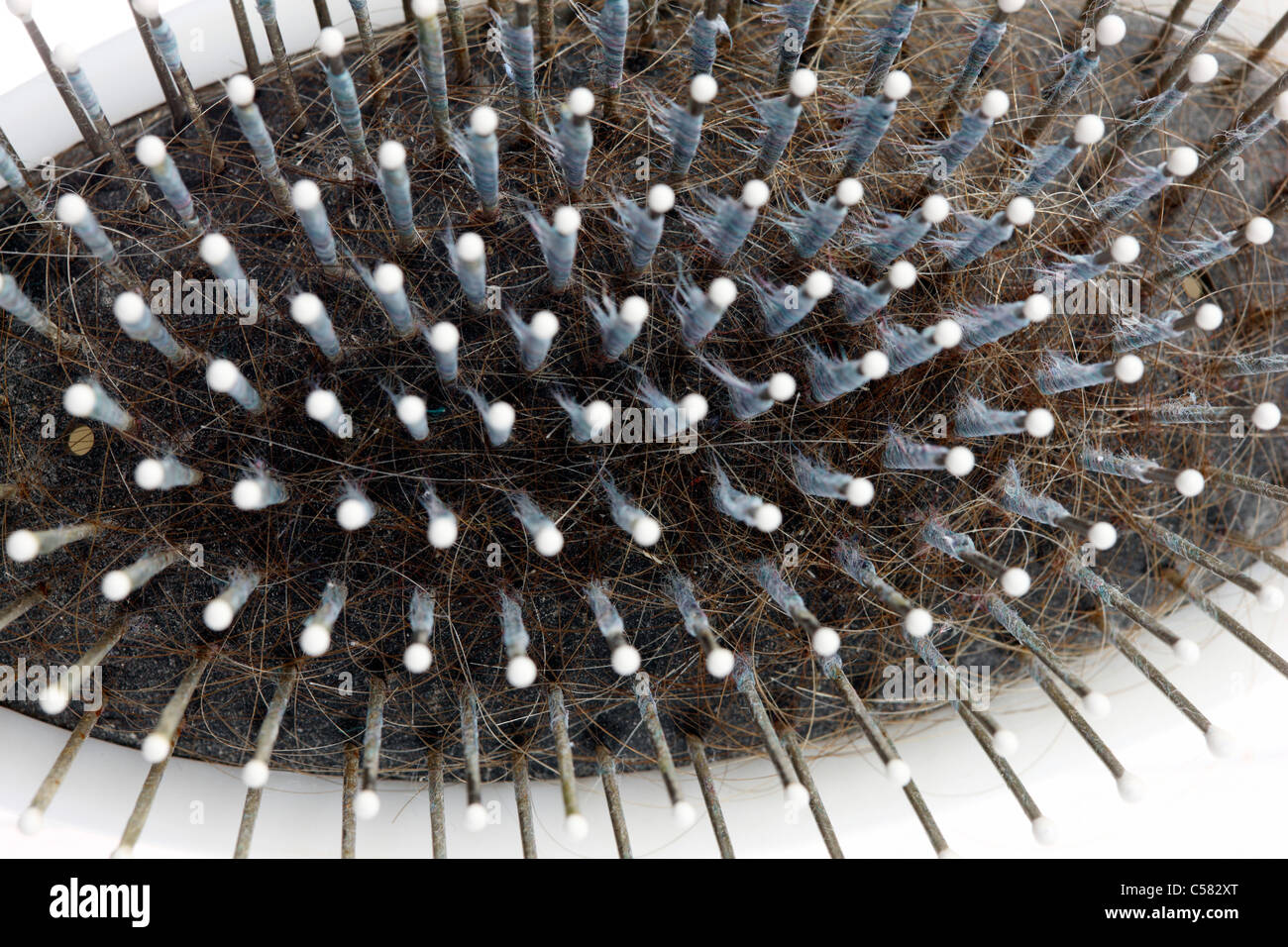 Schmutzig, gebrauchte Haarbürste. Mit vielen alten Haare und anderen Schmutz drin. Stockfoto
