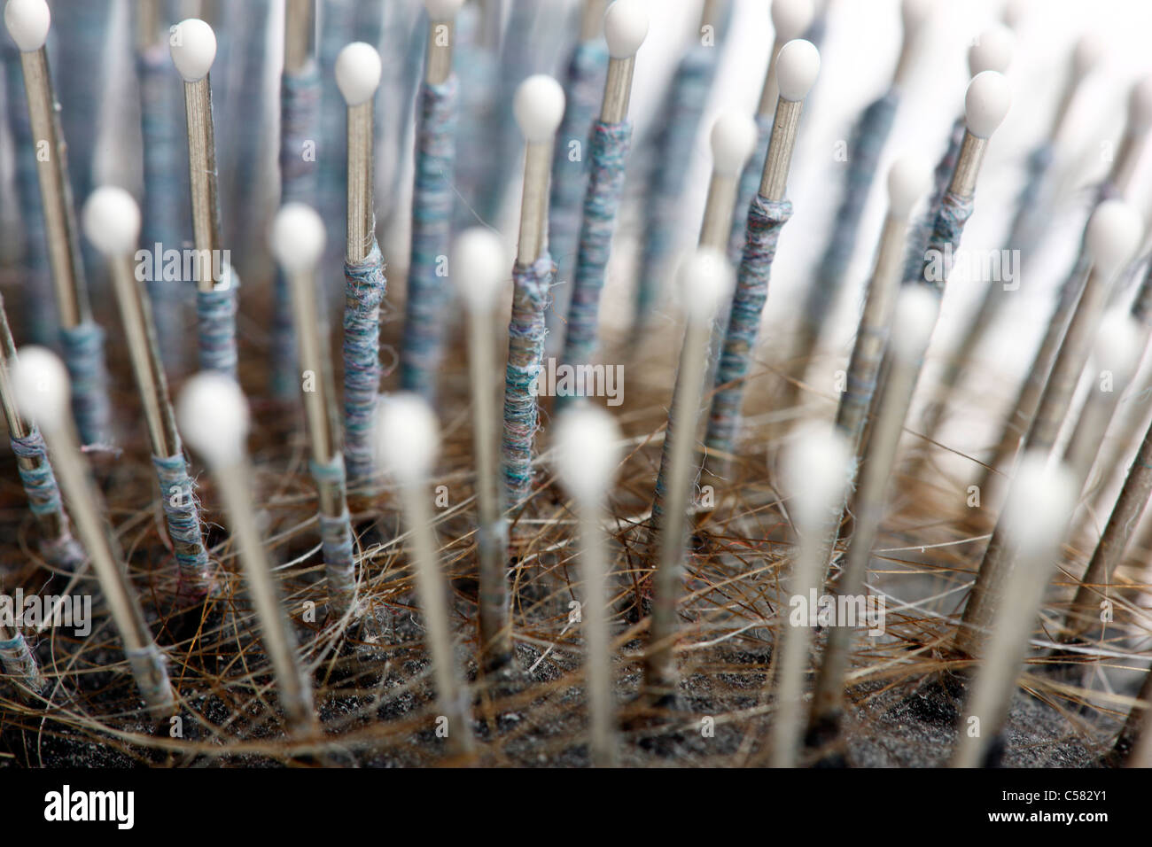 Schmutzig, gebrauchte Haarbürste. Mit vielen alten Haare und anderen Schmutz drin. Stockfoto