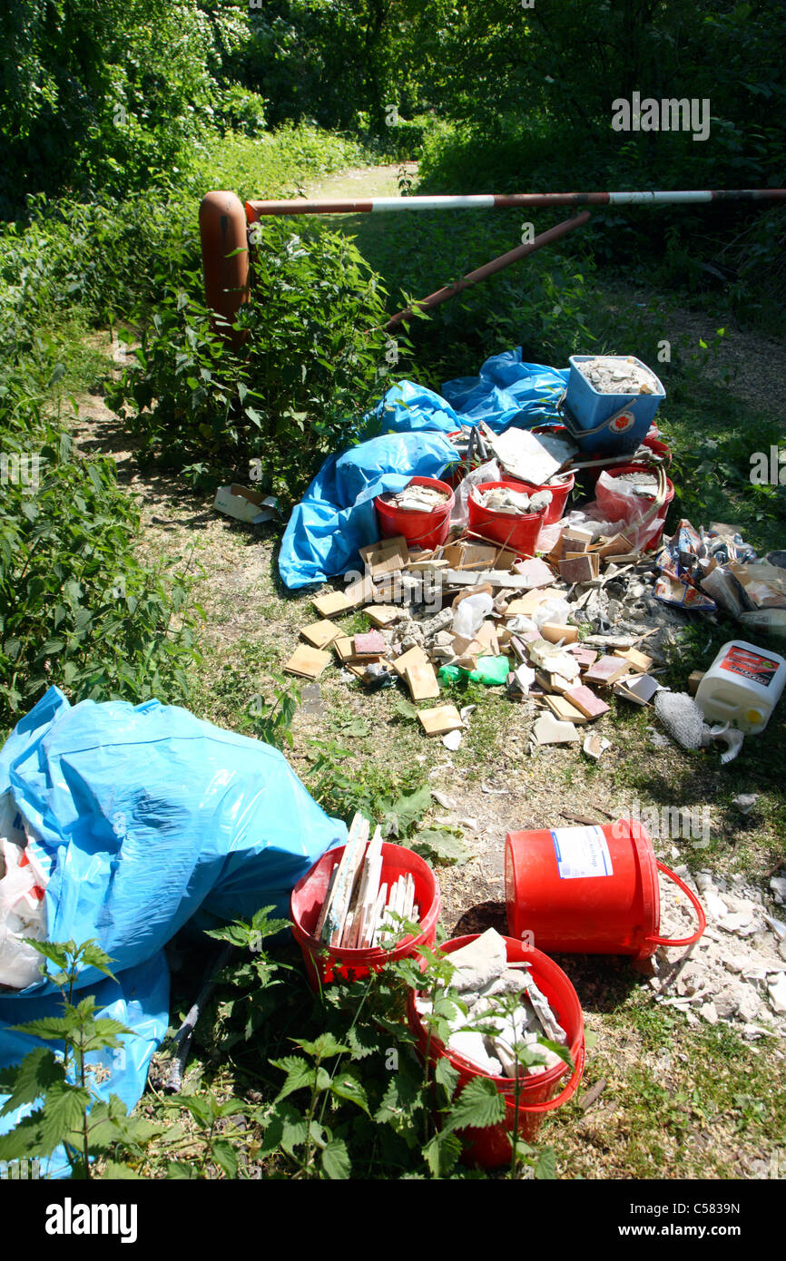 Illegale entsorgen von Abfällen in einem Wald. Stockfoto