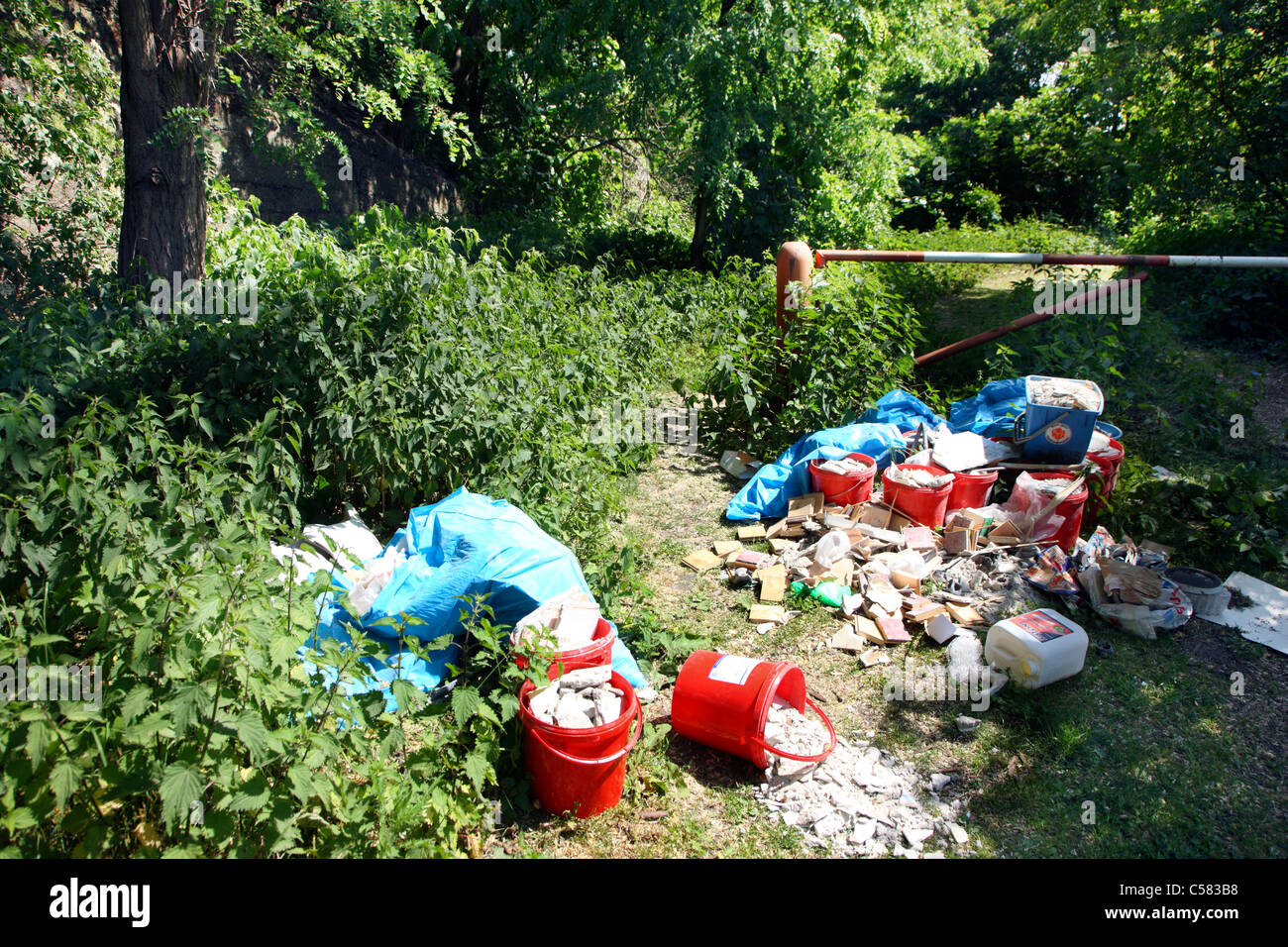 Illegale entsorgen von Abfällen in einem Wald. Stockfoto