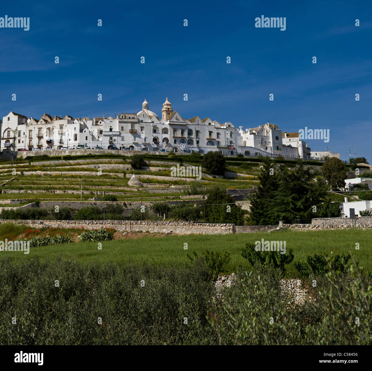 Italien, Europa, historisches Dorf, Hügel, Locorotondo, Apulien, Stadt, Dorf, Frühling, Bergen, Hügeln, Stockfoto