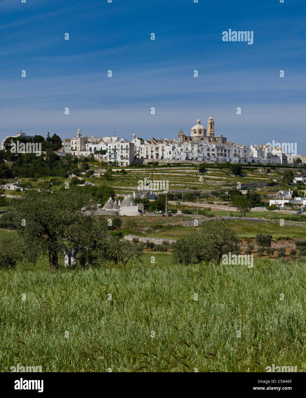 Italien, Europa, historisches Dorf, Hügel, Locorotondo, Apulien, Stadt, Dorf, Feld, Wiese, Bäume, Frühling, Bergen, Hügeln, Stockfoto