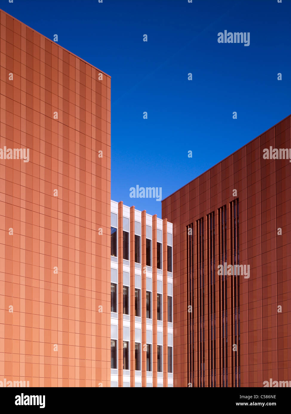 Stephen M. Ross School of Business, University of Michigan, Ann Arbor. Stockfoto