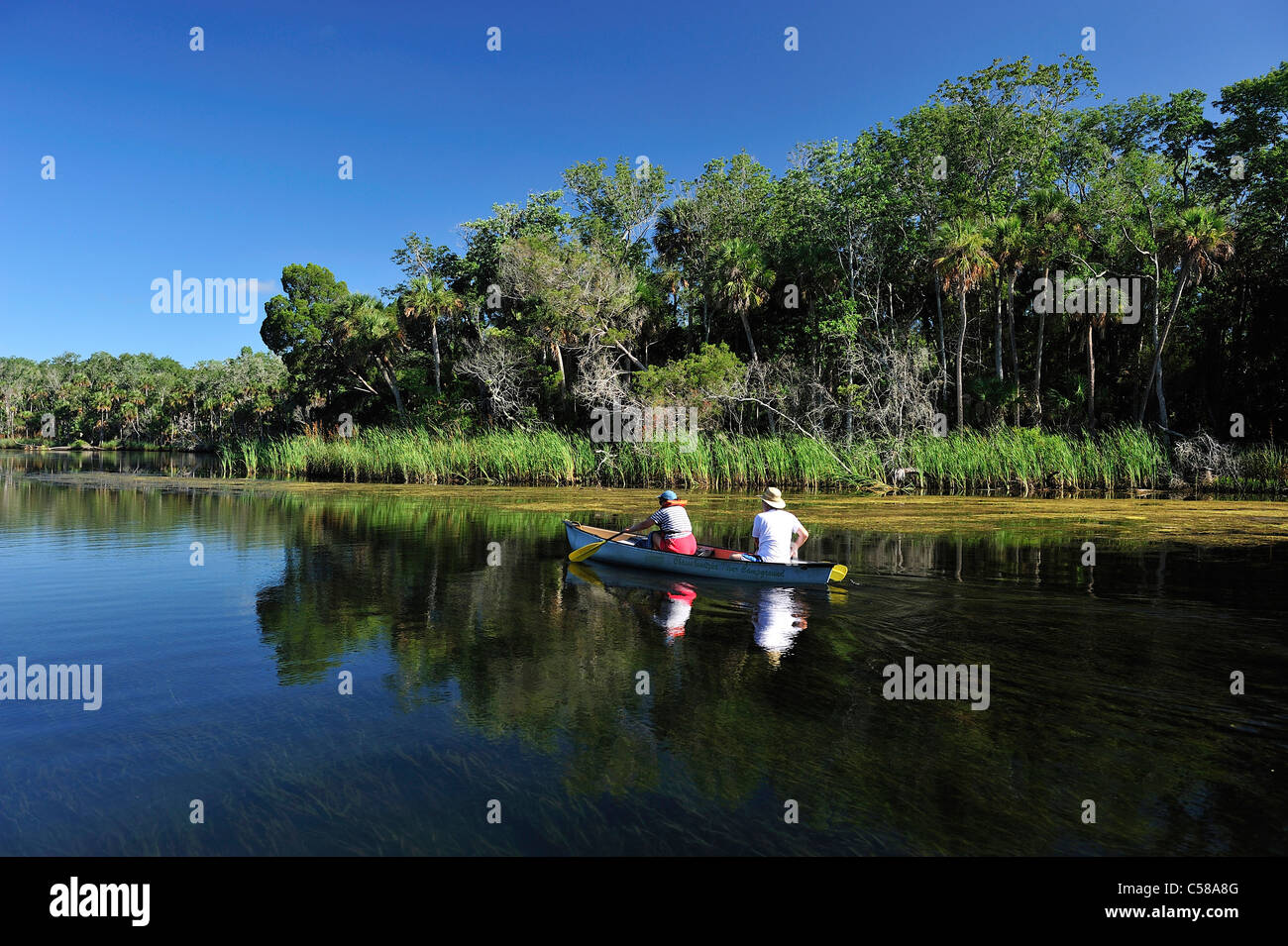 Kanu, Chassahowitzka, Fluss, Wasser, Chassahowitzka, National Wildlife Refuge, in der Nähe von Spring Hill, Florida, USA, Vereinigte Staaten, Am Stockfoto