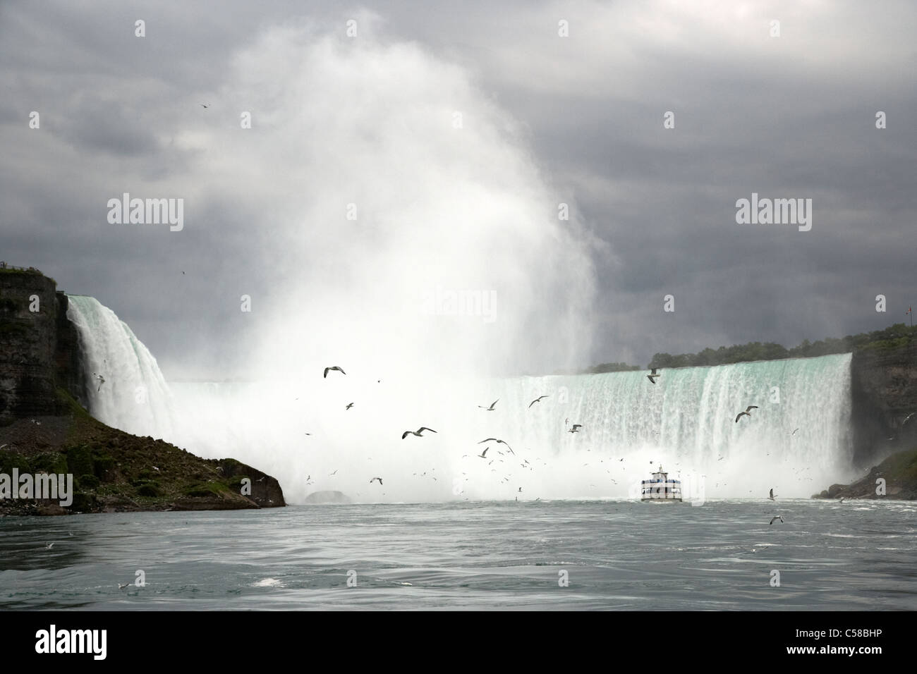 Magd des Bootes auf dem Niagara Fluss Nebel nähert sich Niagara ganz fällt Ontario Kanada Stockfoto