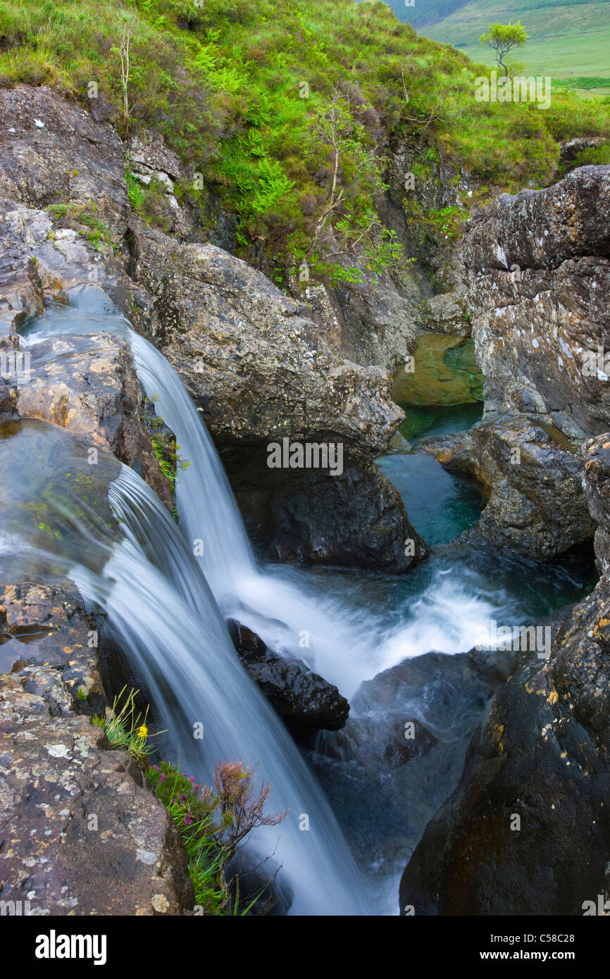 Fee bündelt, Großbritannien, Schottland, Europa, Insel, Insel, Skye, brook, Gulch, Felsen, Klippe, Erosion, Wasserfälle, Sträucher, Büsche Stockfoto