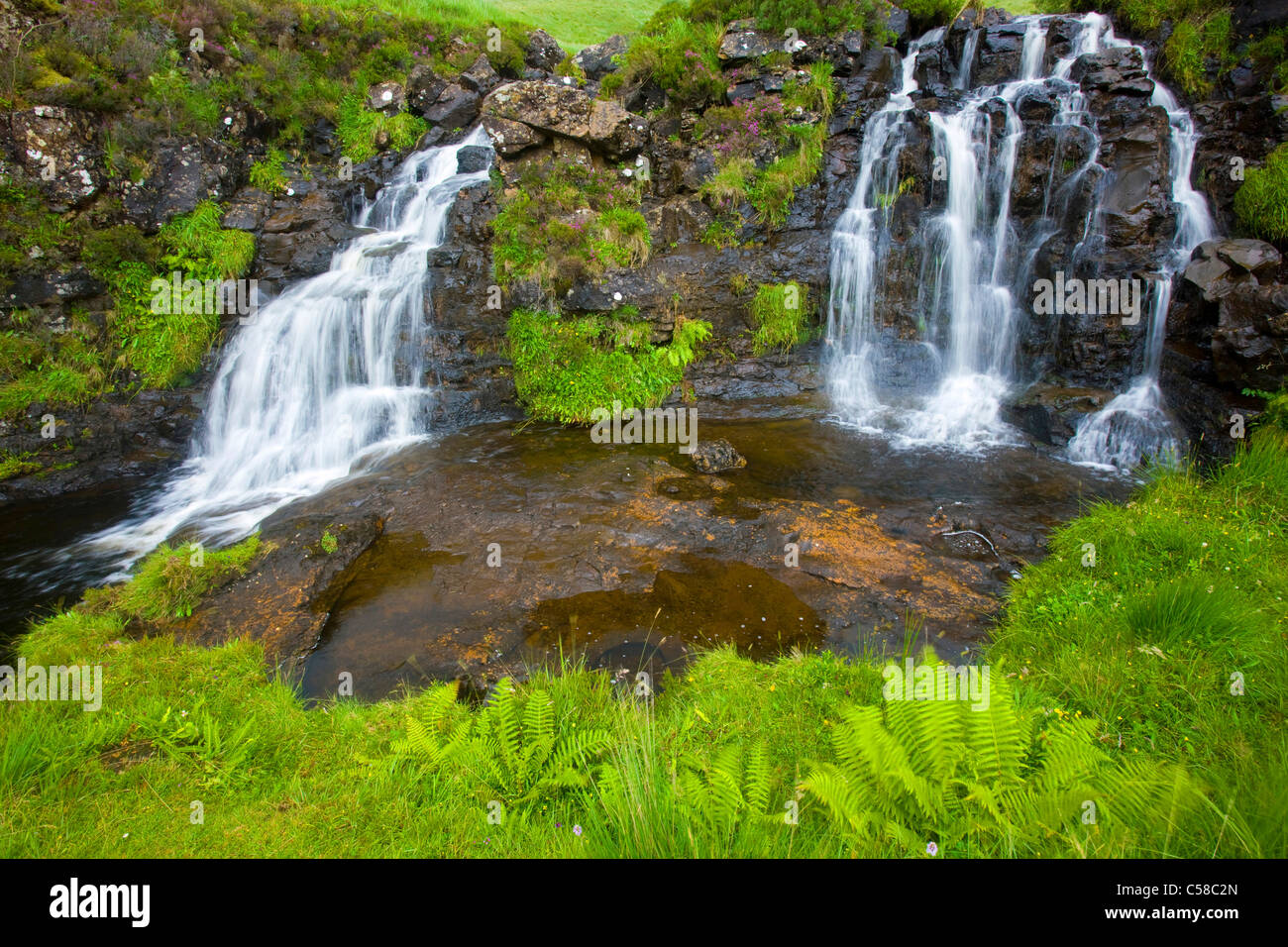 Fee bündelt, Großbritannien, Schottland, Europa, Insel, Insel, Skye, Bach, Fels, Felsen, Wasserfälle, Farn Stockfoto