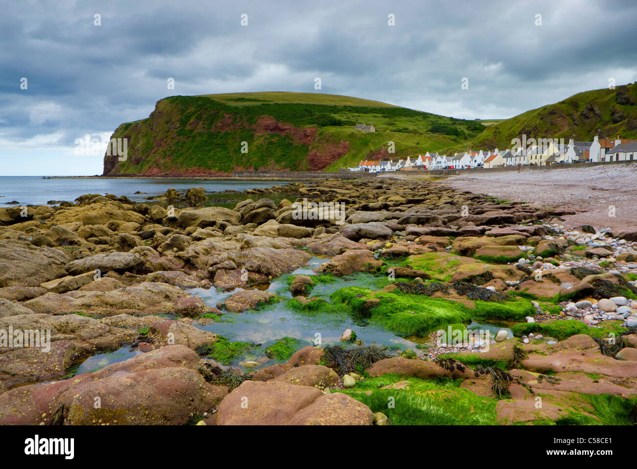 Pennan, Großbritannien, Schottland, Europa, Meer, Küste, Gezeiten, niedrig, Ebbe, Flut, Felsen, Klippe, Algen, Dorf, Häuser, Wohnungen, Stockfoto