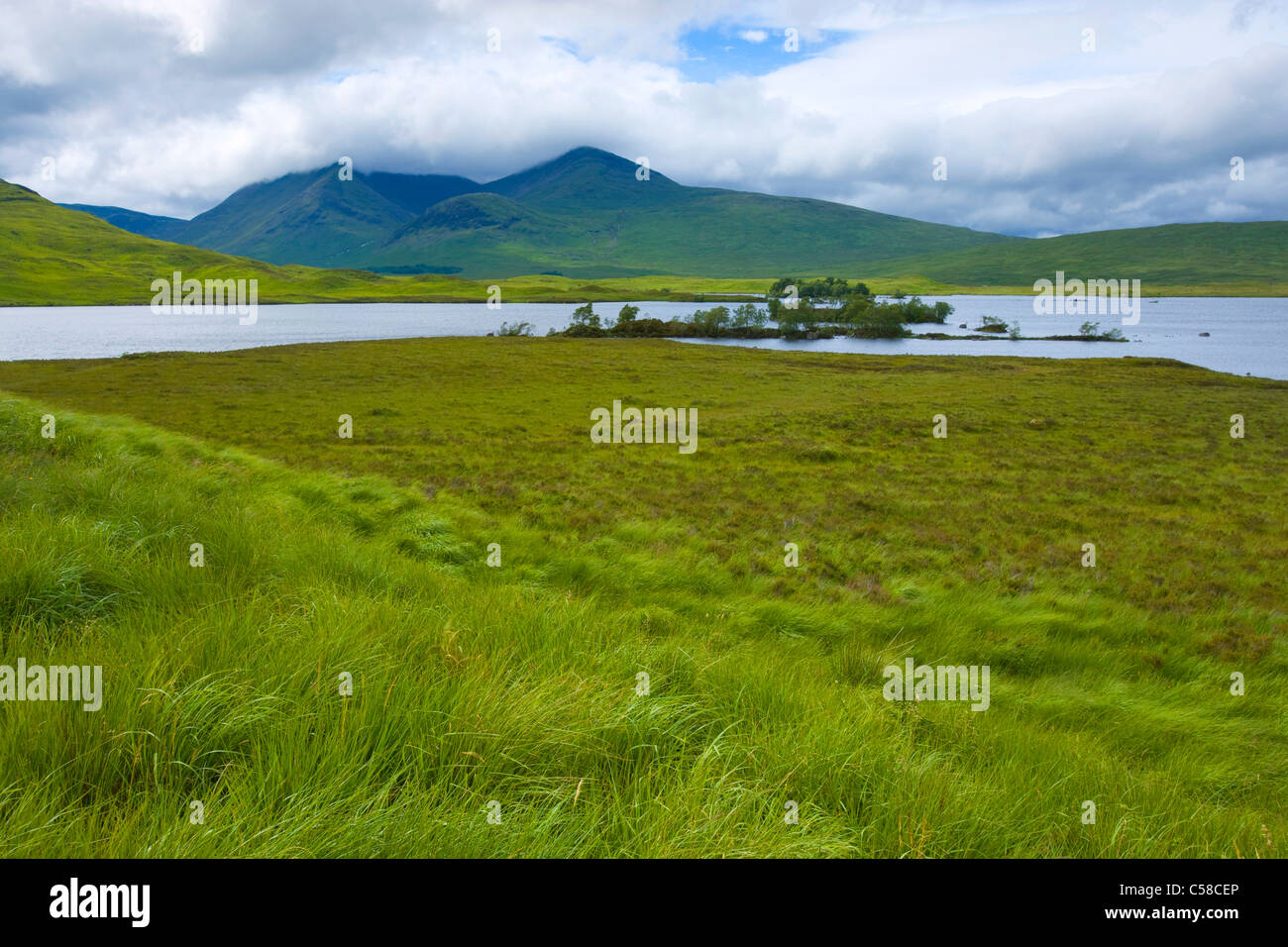 Rannoch moor, Großbritannien, Schottland, Europa, Meer, Moor, Bäume, Rasen, Wolken Stockfoto