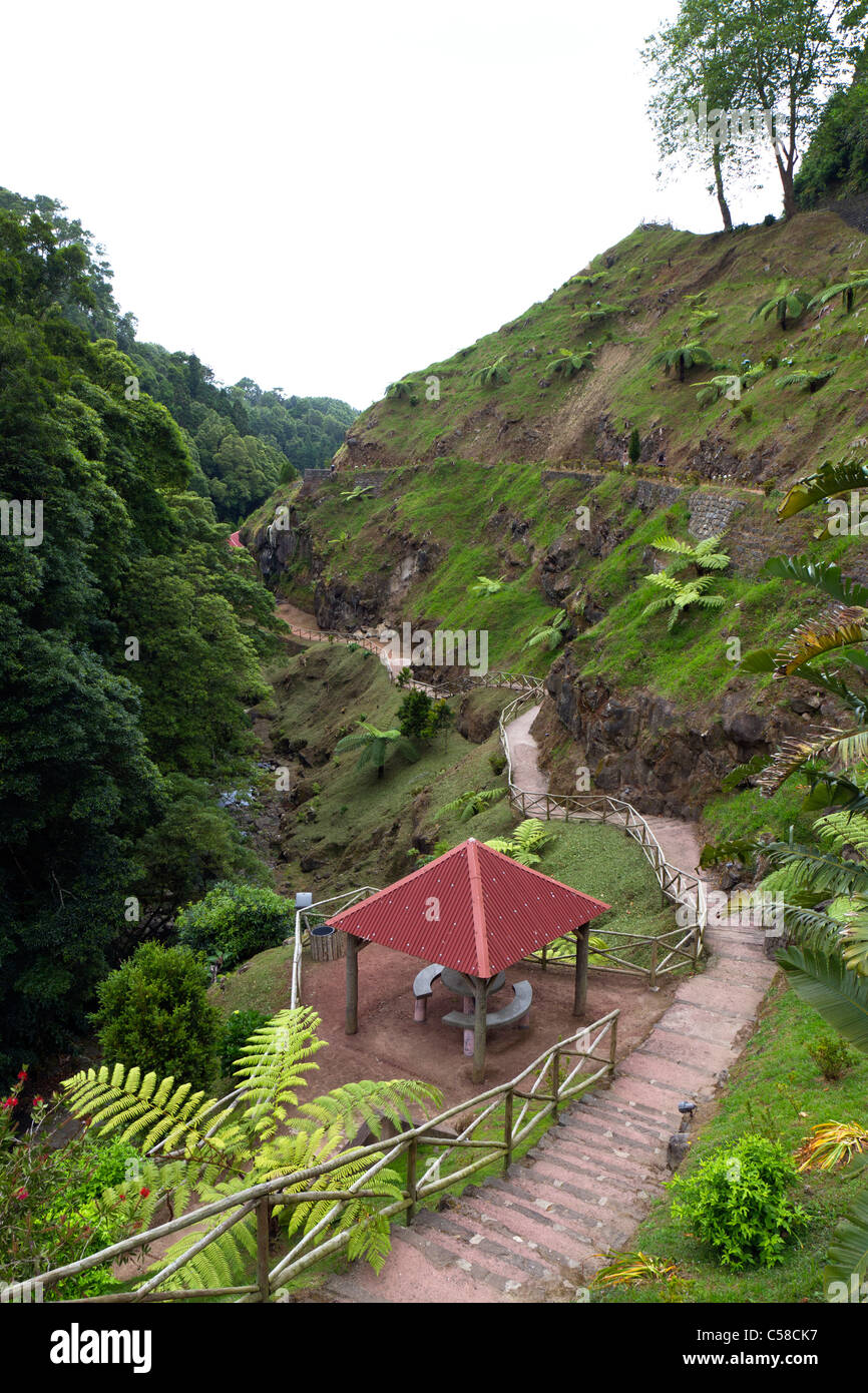 Pfad in der Nähe der berühmten Wasserfall bei Ribeira Dos Caldeirões Naturpark, Achada, Nordeste Region, Insel São Miguel, Azoren. Stockfoto