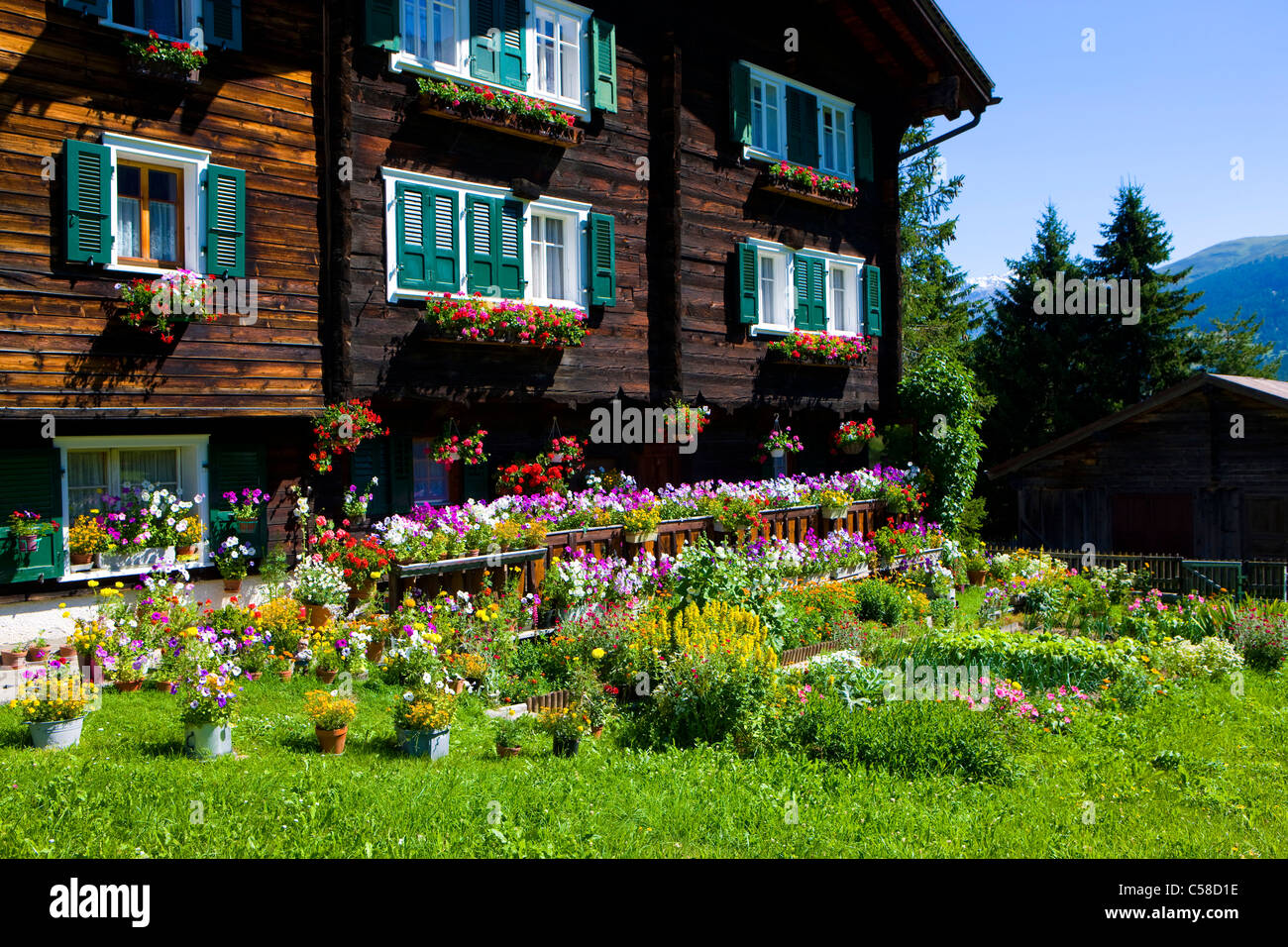 Oberwalliser, Schweiz, Europa, Kanton Wallis, Haus, Haus, Holzhaus, Garten,  Blumen, Haus Schmuck Stockfotografie - Alamy