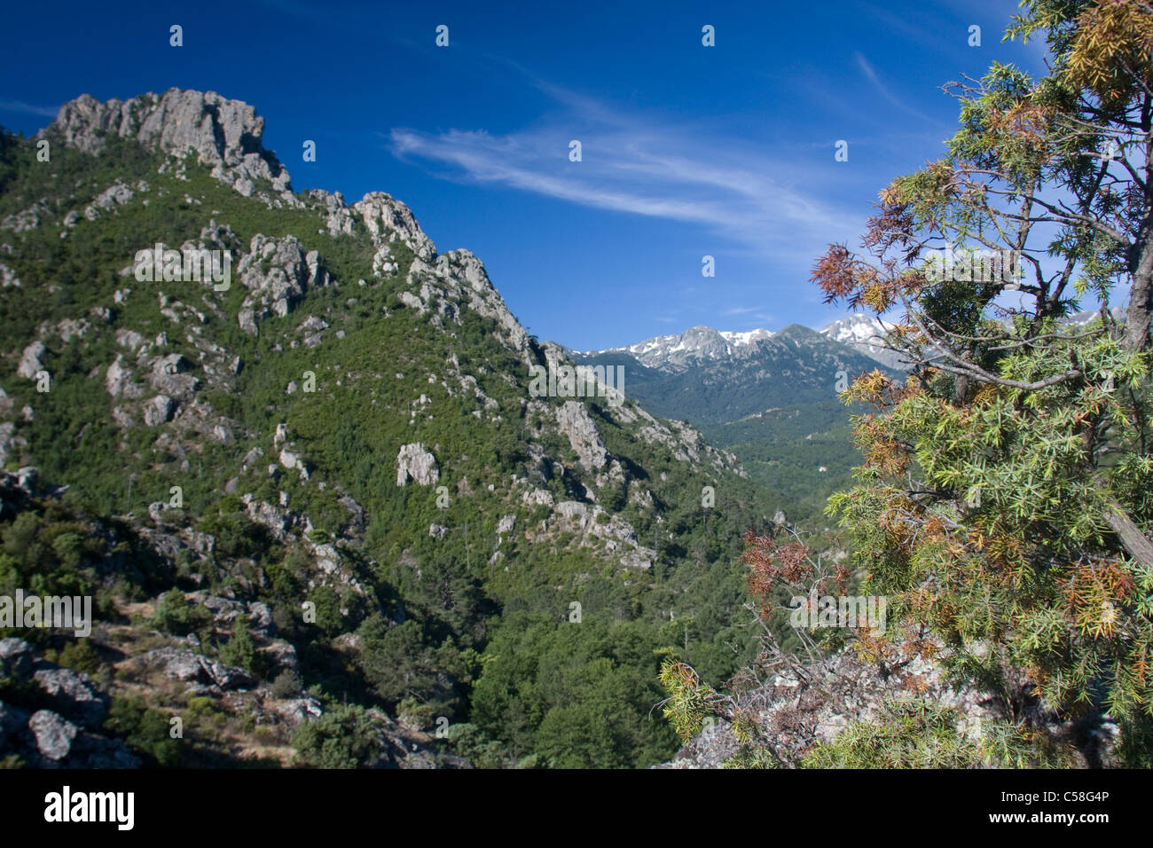 Korsika, Frankreich, Landschaft, Berg, Berg, Landschaft Stockfoto