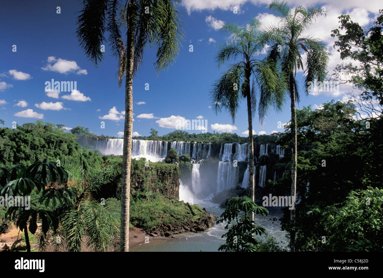 Parque National Iguazu, Cataratas do Iguazu, Iguazu Wasserfälle, Foz do Iguazu, Parana, Brasilien, Südamerika, Wasserfall, Palmen Stockfoto