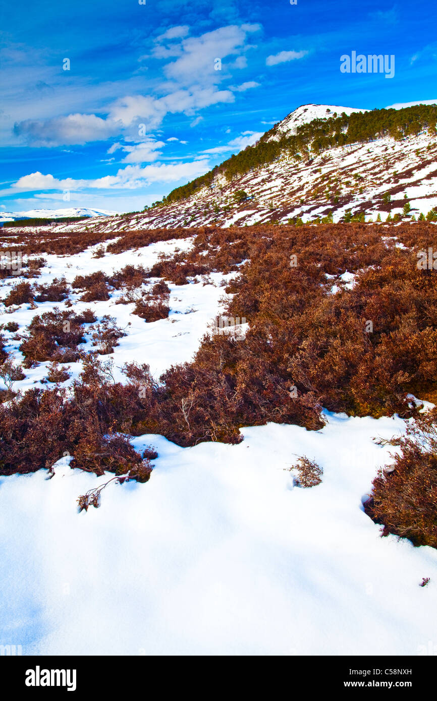 Schottland, Schottisches Hochland, Cairngorm National Park. Schneebedeckte Hügel in der entfernten Glen Feshie, Bestandteil der Cairngorms Nat Stockfoto