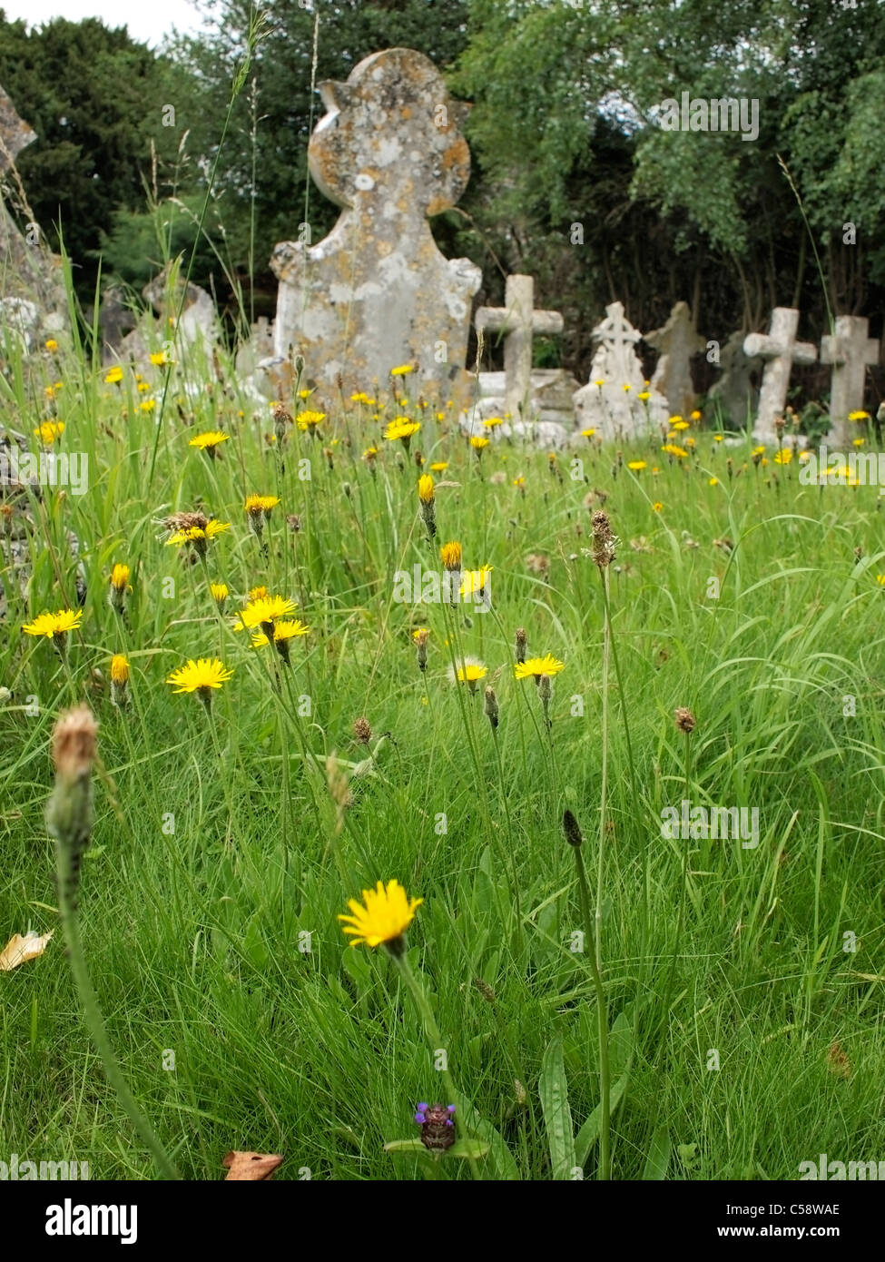Kirche-Hof-Gräber mit wilden Blumen Stockfoto