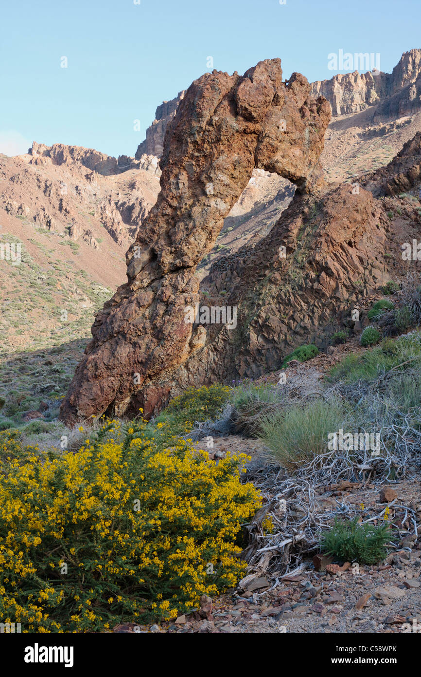 Felsformationen, verursacht durch Wind- und Wassererosion im Nationalpark Las Canadas del Teide auf Teneriffa Kanarische Inseln, Spanien Stockfoto