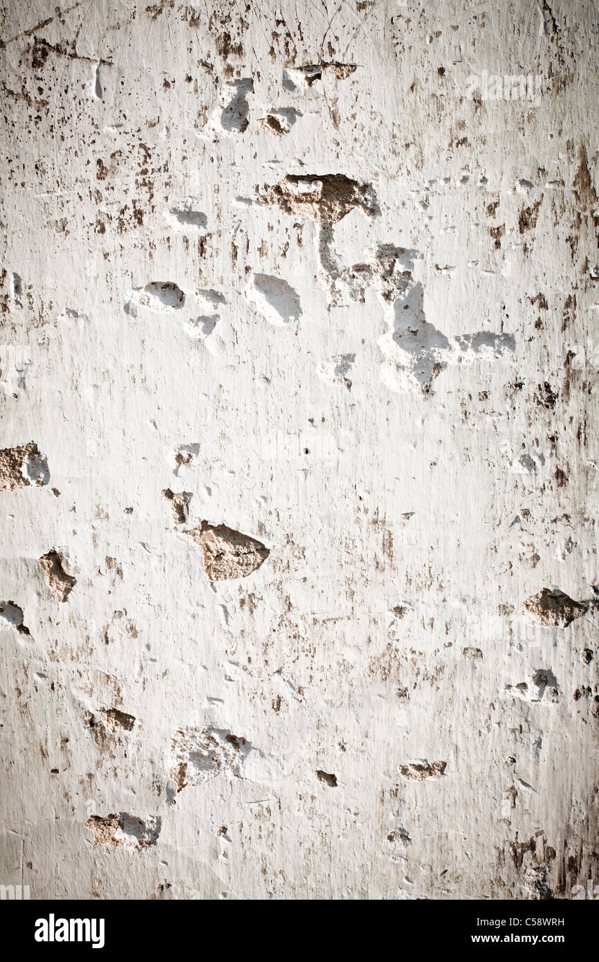 Alte, rissige Wand Stockfoto