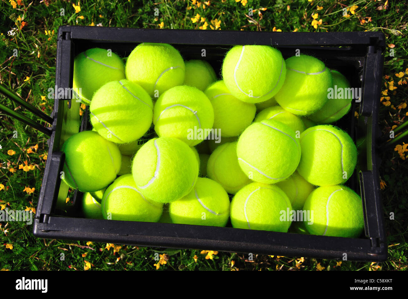 Tennisbälle im Tennis Trichter, Christchurch, Region Canterbury, Südinsel, Neuseeland Stockfoto