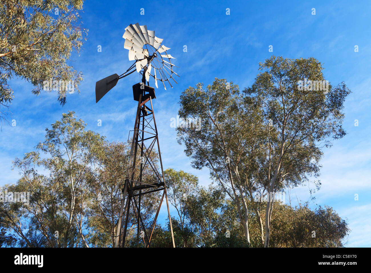 Eine Wasser-Pumpe-Windmühle, umgeben von Eukalyptusbäumen, die in der Regel um australische Ackerland gefunden Stockfoto