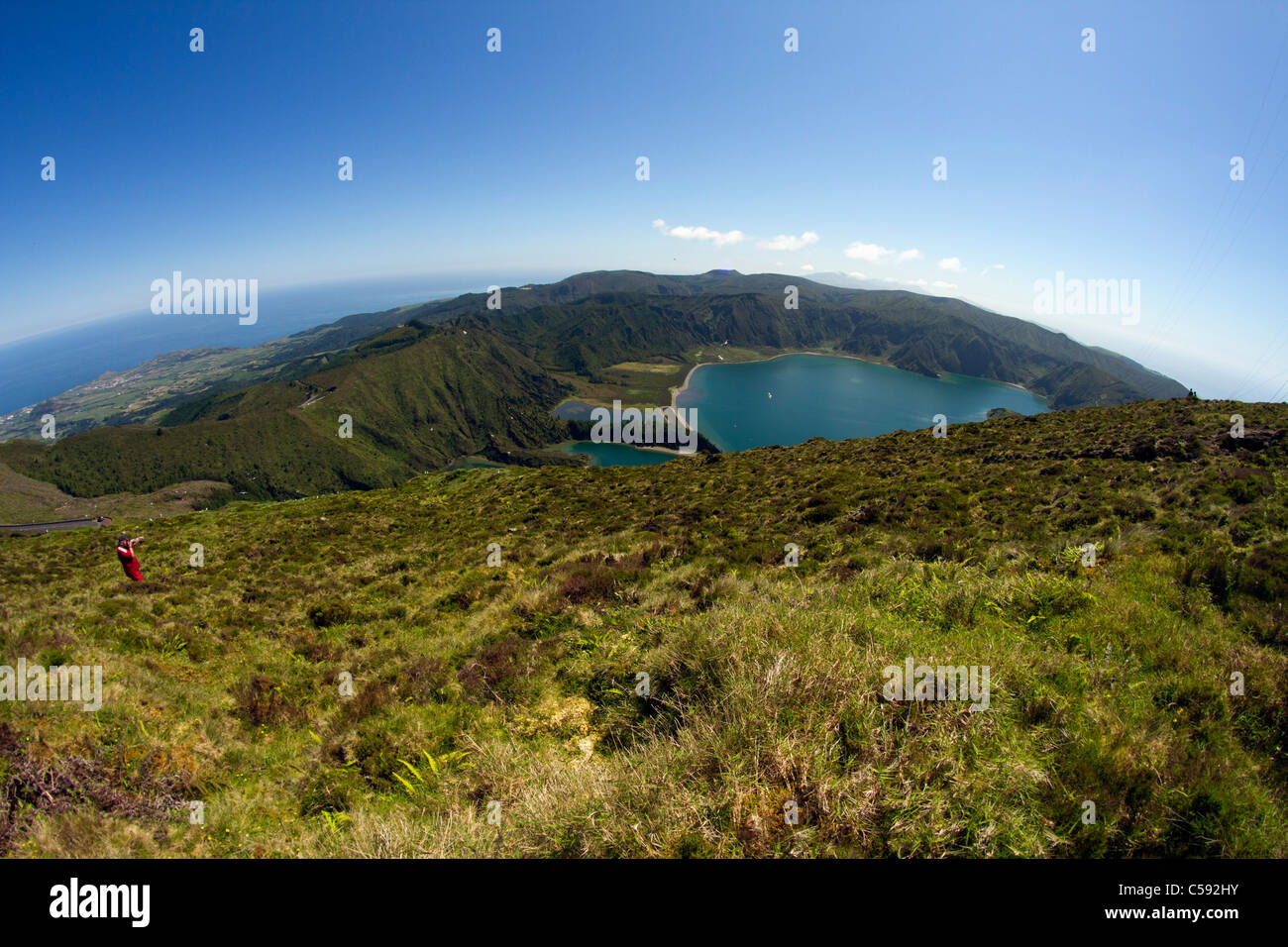 Vogelfotograf in Lagoa Fogo - Fire Lake, einem berühmten Kratersee in Insel São Miguel, Azoren. Stockfoto