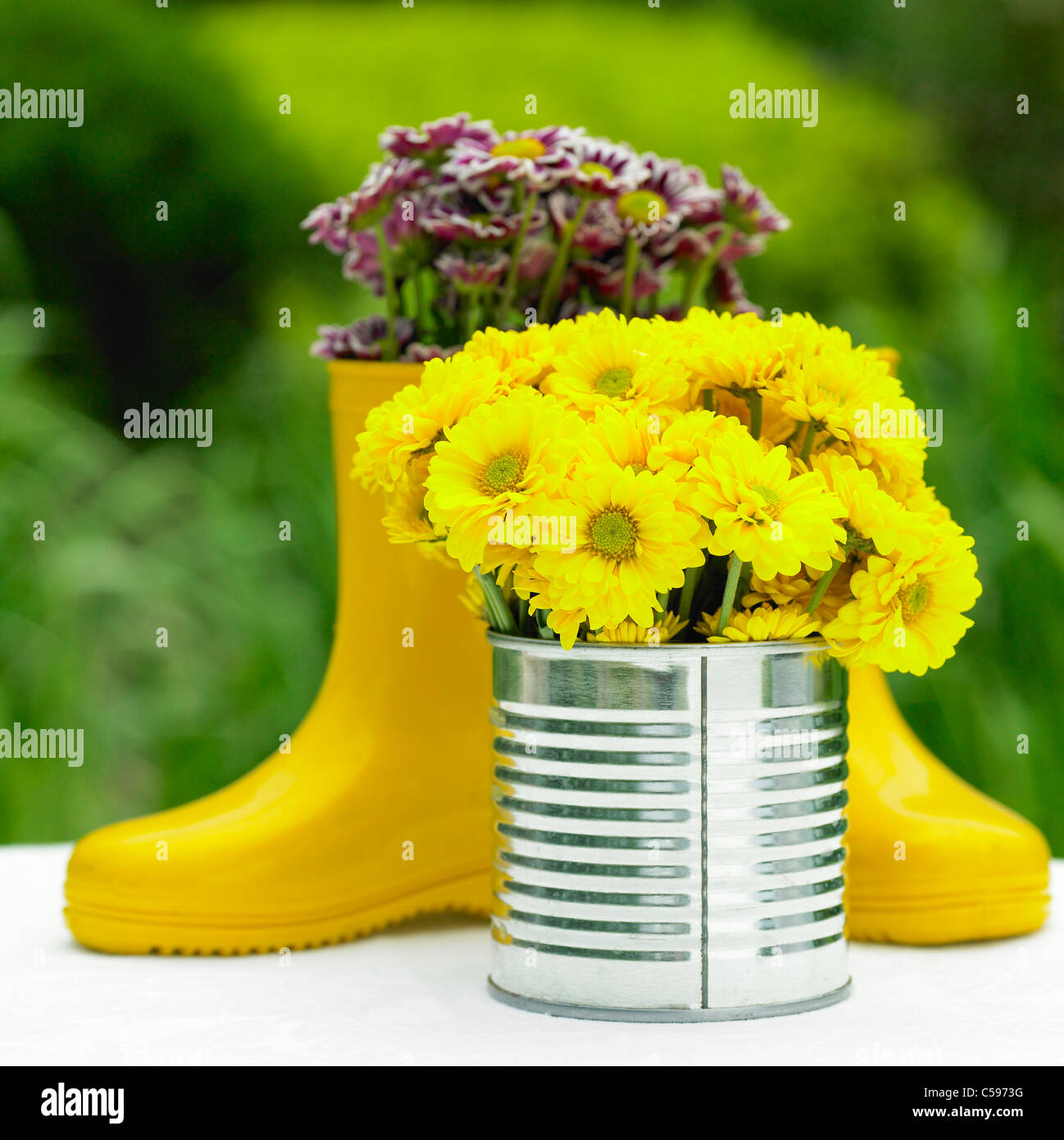 Nahaufnahme der Sonnenblume in container Stockfoto